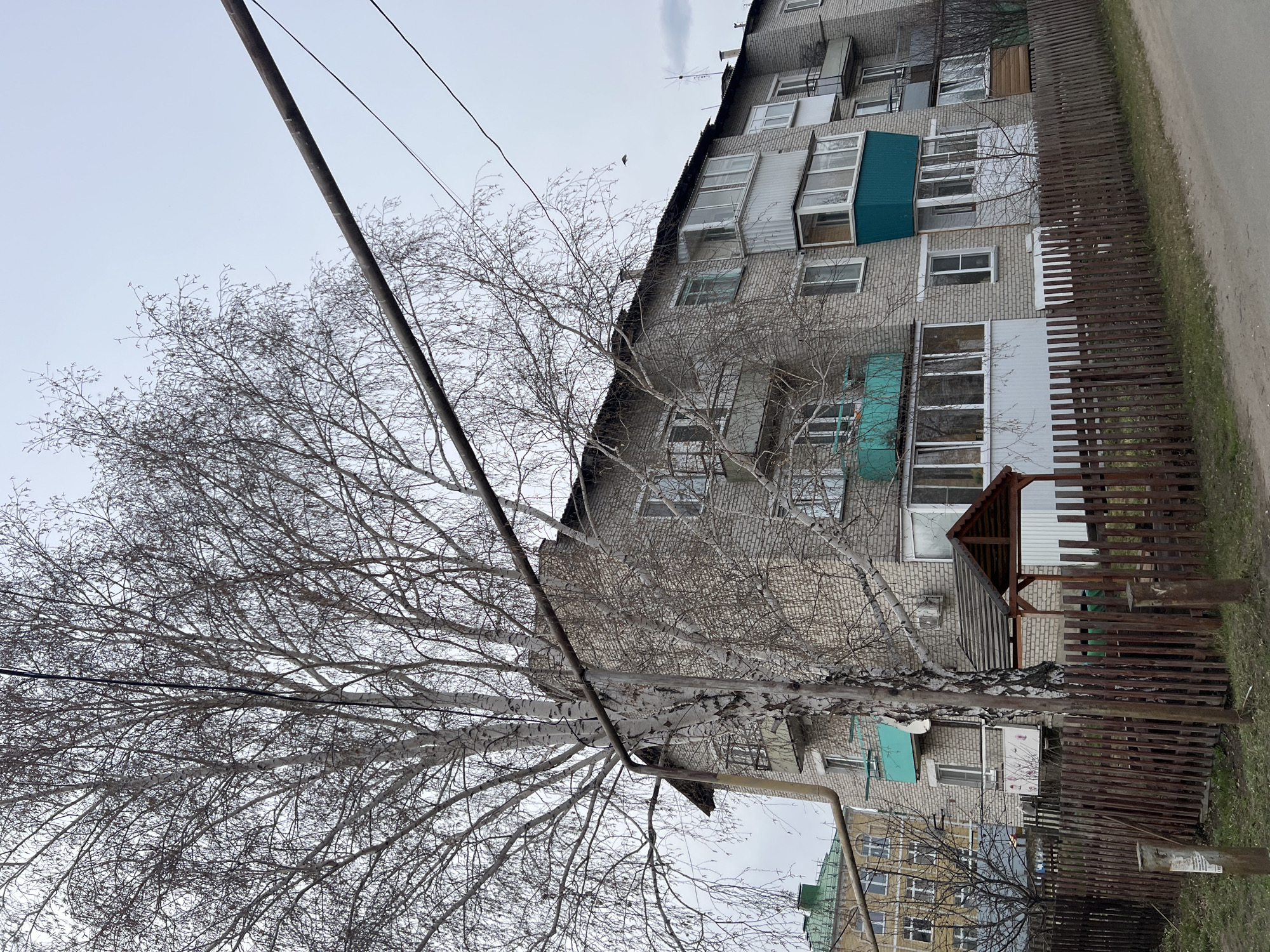 The image presents a winter scene in what appears to be a residential area. A multi-story brick apartment building with various enclosed balconies and windows dominates the background. In the foreground, a leafless birch tree, characterized by its white bark, obscures a portion of the building. Utility lines stretch across the upper portion of the image. A dark wooden fence runs along the right side, dividing the building from a narrow dirt path. Based on the clues of architecture and foliage, this could be a residential part of a town like Kargapolye in Russia. There is no indication of human presence.