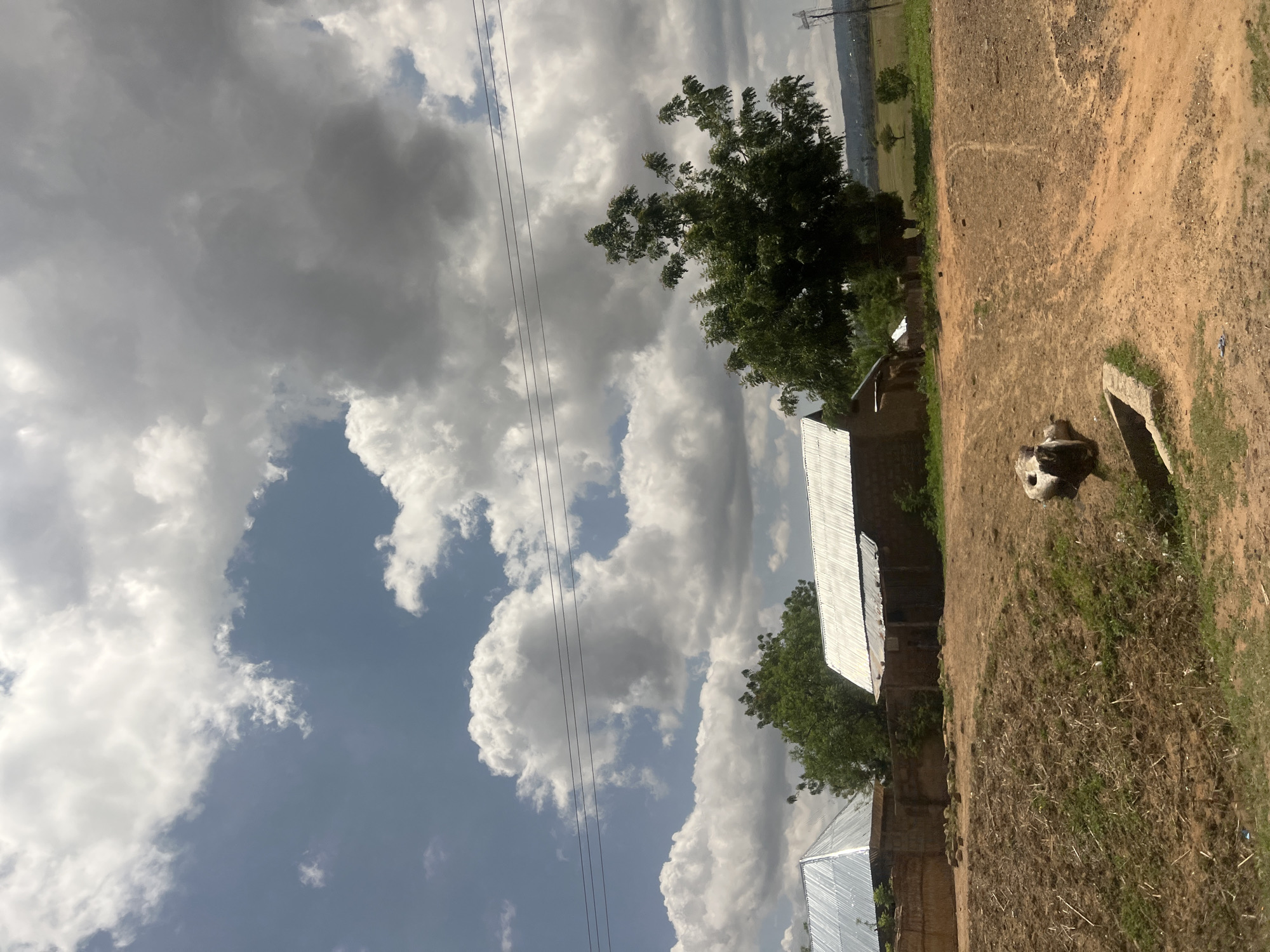 The image captures a daytime scene in Sabon Layi Jessu, Nigeria, depicting a rural or semi-urban landscape under a partly cloudy sky. The upper portion of the frame features a sky with a mix of white cumulus clouds against a light blue background on the left, transitioning to denser, darker gray clouds on the right. Multiple black power lines traverse horizontally across the upper-middle of the sky.
In the midground, several single-story structures with corrugated metal roofs are visible. On the far left, the peak of a silvery, reflective gabled roof is prominent. Towards the center-right, another building with a broader, slightly darker corrugated metal roof is present. Lush green trees are scattered across the midground, with a large, full-leafed tree dominating the right side, partially obscuring the view behind it. A low, brick-like wall or fence is visible behind the leftmost structure.
The foreground consists of an uneven, reddish-brown dirt path or road, characteristic of laterite soil, with sparse patches of dry grass and some scattered debris. In the lower-middle, a light-colored, rectangular concrete drainage structure or culvert is embedded in the ground. To its immediate left, an irregularly shaped, light-colored object, possibly a rock or tree stump, rests on the dirt. Faint tracks, potentially from vehicles or foot traffic, are visible on the dirt surface. In the distant background, beyond the structures and trees, a flatter landscape of fields with sparse vegetation and distant hills can be observed under a hazy sky. No people are visible in the scene.