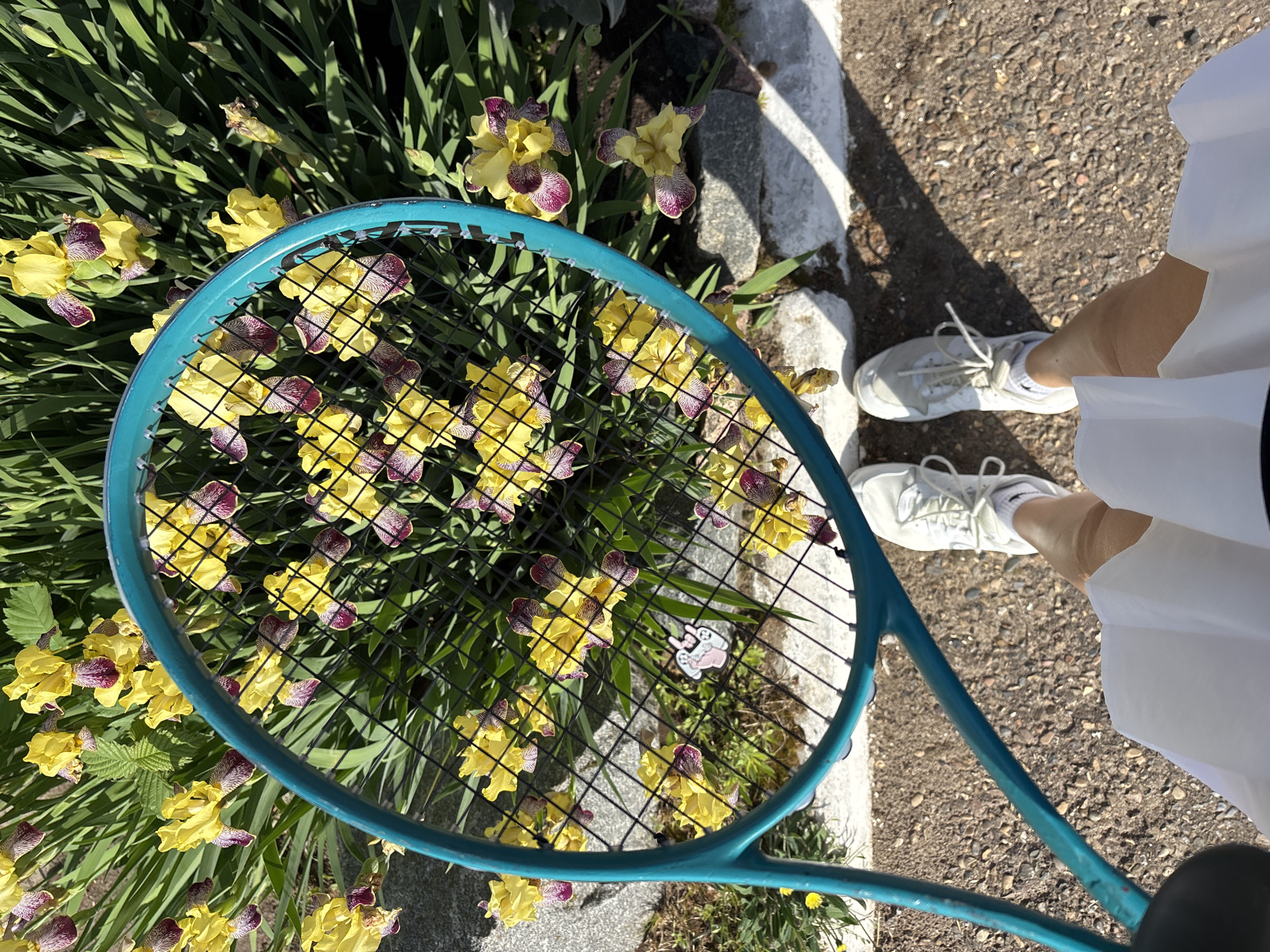 A person in white shoes and a white skirt stands on a pebble surface next to a painted white stripe on the ground. A teal tennis racket is held over a patch of yellow and purple flowers with green leaves. A sticker is attached to the tennis racket strings. The location is Chaikovsky, Russia, indicated by the sticker on the racket.