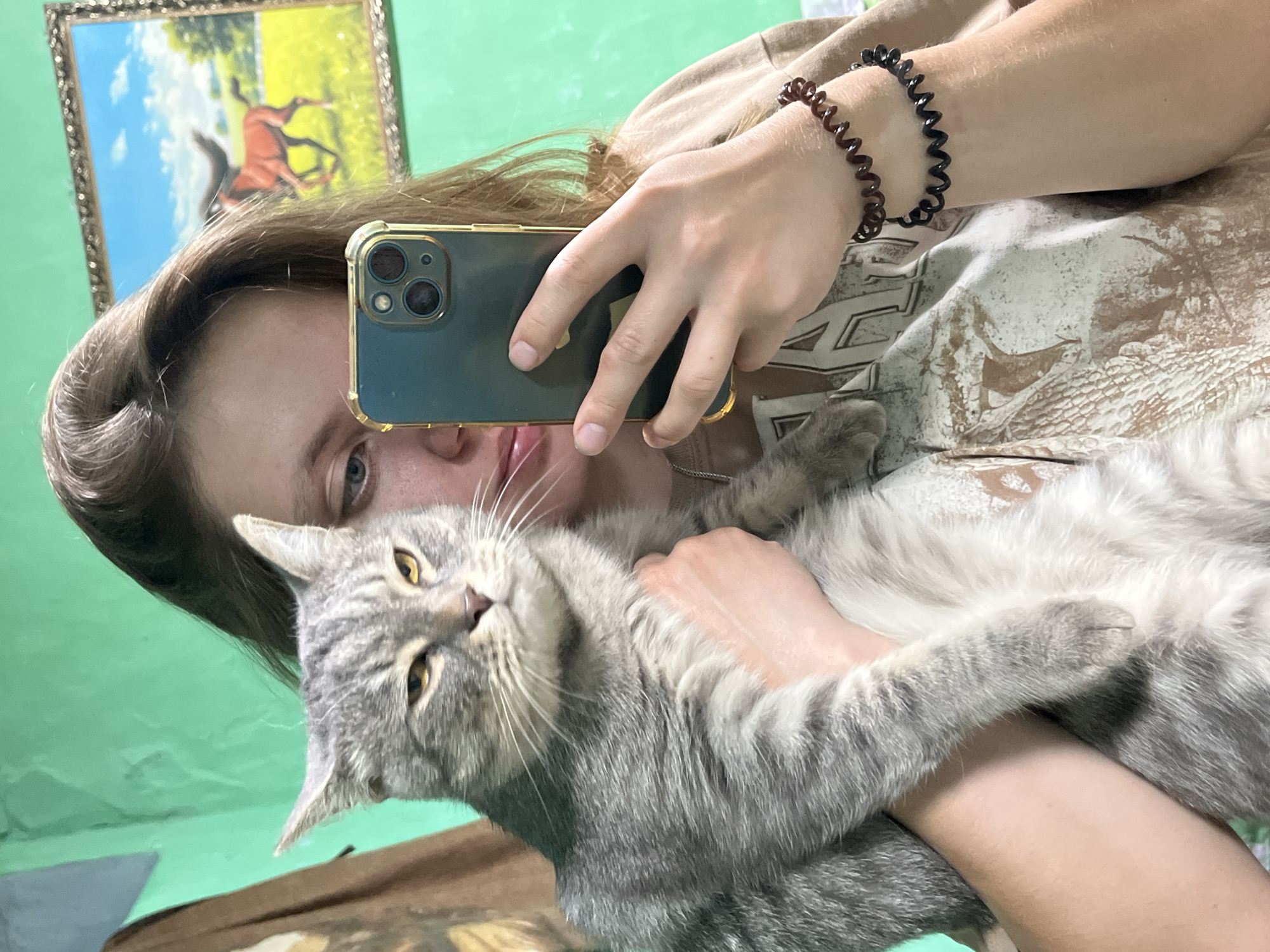 In this selfie-style image, a person holds a gray tabby cat, capturing the moment with a smartphone. The person's face is partially obscured by their hair and the phone, but their blue eyes are visible, and their lips are slightly parted. They are wearing a brown t-shirt with a graphic print and two spiral hair tie bracelets on their left wrist. The cat, with its distinctive tabby markings and narrowed yellow eyes, is positioned prominently in the frame, held securely by the person.
The background is a vibrant green wall, characteristic of indoor spaces. To the right of the person, a framed picture of a horse in a pastoral landscape hangs on the wall. The overall lighting suggests an indoor setting, possibly a home environment. The image does not contain any specific details that can be used to pinpoint its location within Nizhny Tagil, Russia, or any other city.