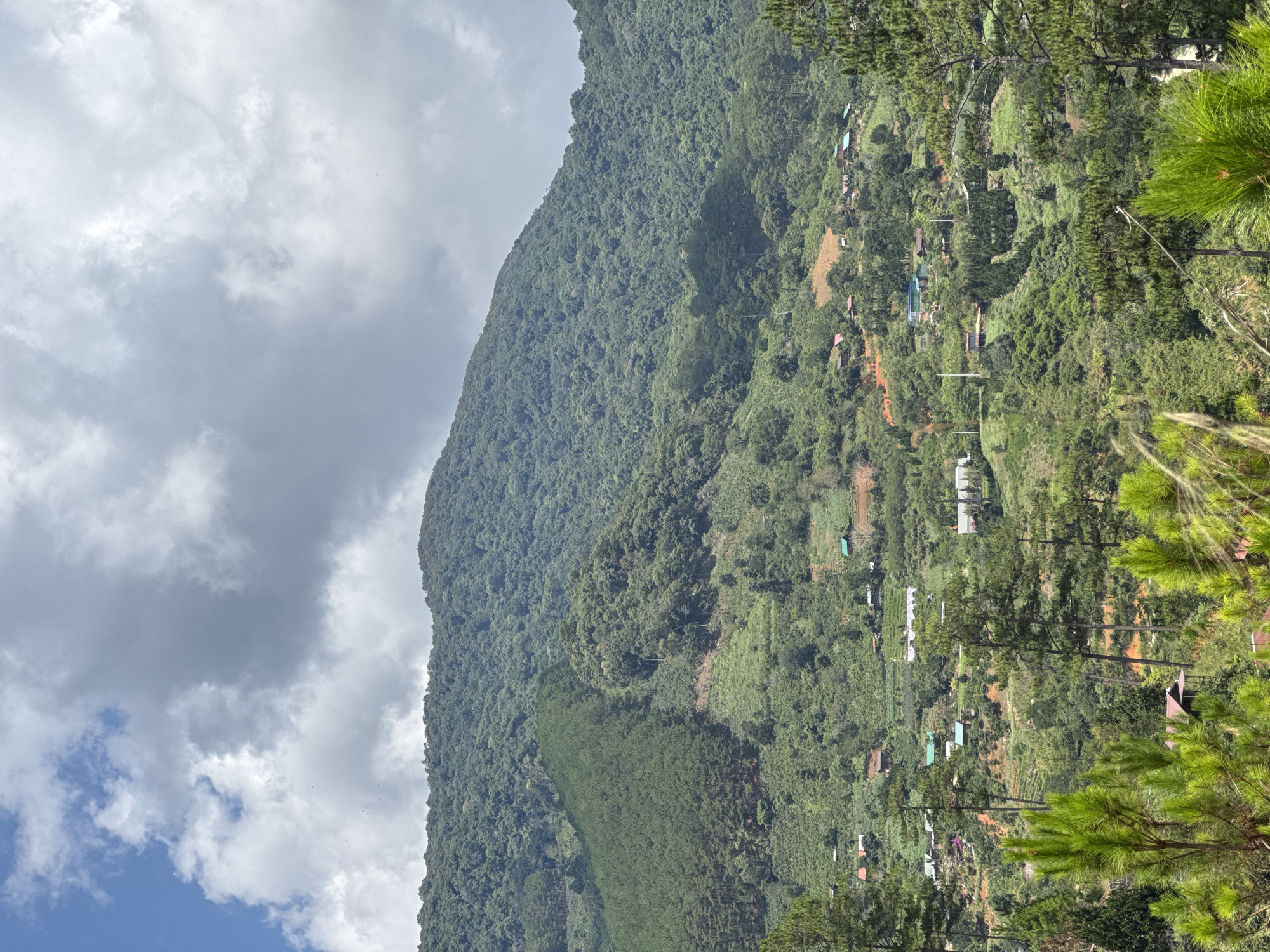 The image presents a view of the mountainous terrain in the city of Hiep Thanh, Vietnam. The landscape is dominated by a lush, green mountain range covered in dense forest. The lower slopes of the mountain are dotted with structures and terraced farmlands, indicating human settlement and agricultural activity. The sky is filled with gray and white clouds, suggesting overcast conditions. Pine trees are in the right foreground.
