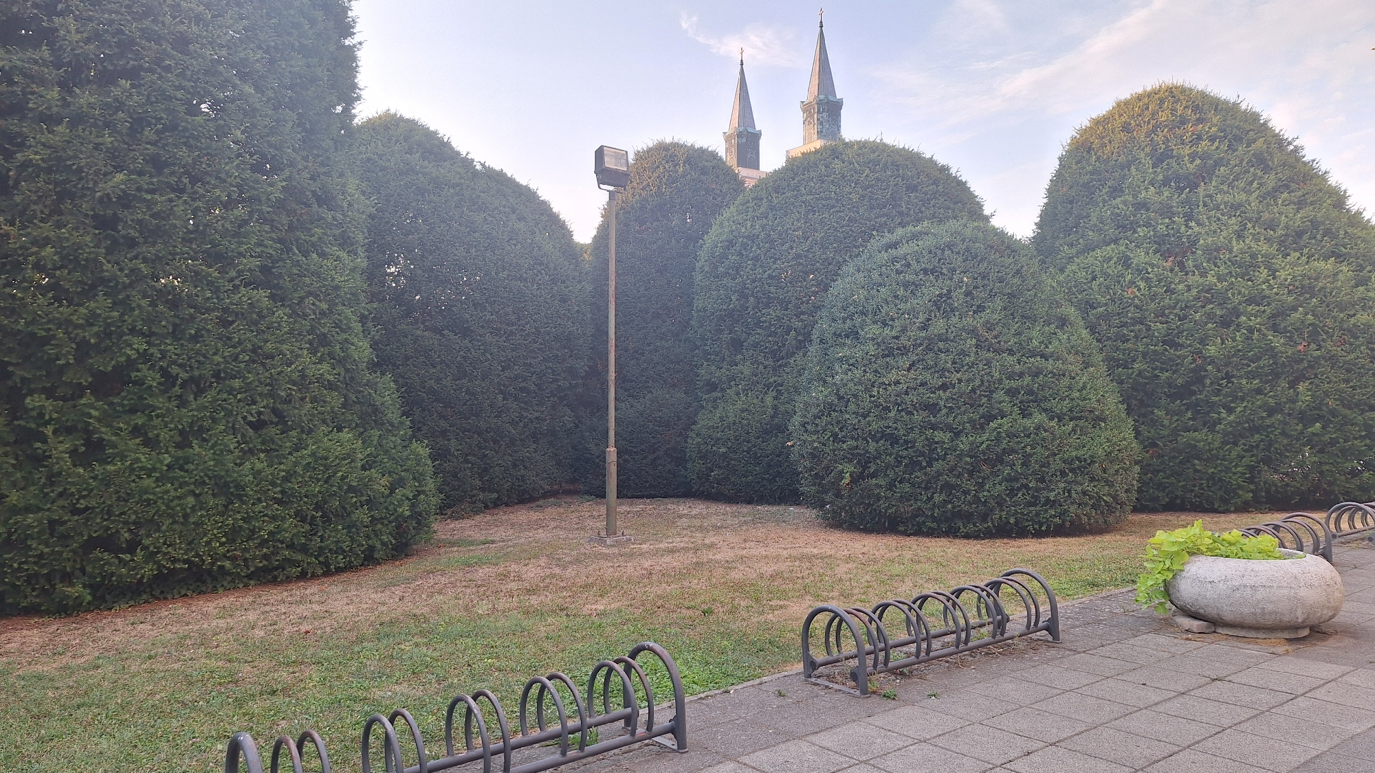 The image captures a street view in Sombor, Serbia, featuring a row of meticulously trimmed, large evergreen bushes. The bushes are shaped into rounded mounds, creating a formal garden aesthetic. In the background, two spires of a church or cathedral are visible above the greenery, suggesting a central or historic location within the city. A lamppost stands in the middle of the path behind the bushes. In the foreground, a paved walkway is laid with square tiles, and a metal bicycle rack is present. To the right, a stone planter holds a vibrant green vine. The ground between the bushes and the walkway is covered in dry grass and patches of dirt, indicating a well-maintained but somewhat arid area. The sky above is partially cloudy with a pale, early morning or late afternoon light. No people are visible in the scene.