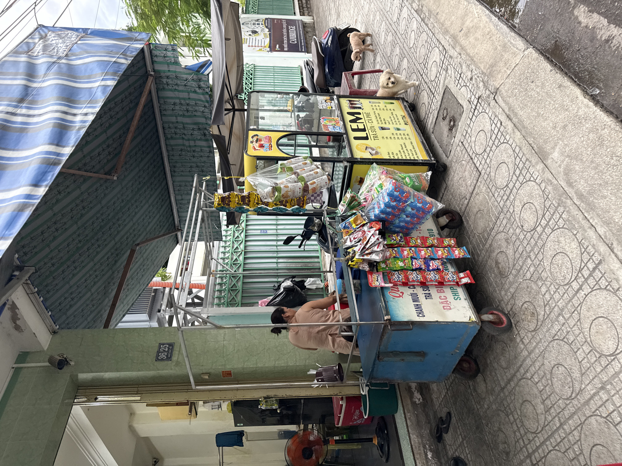 A street-level, outdoor, medium shot captures a food and beverage stand in Nha Trang, Vietnam. The stand features a blue cart on the left with assorted bagged snacks hanging from its front, and a yellow cart on the right showcasing drinks and additional snacks. A woman in a tan shirt is behind the blue cart, seemingly attending to it. Two small dogs, one tan and one cream-colored, are present on the sidewalk near the yellow cart. A blue scooter is parked behind the yellow cart. The scene is set against a backdrop of buildings with awnings and a green metal fence. The sidewalk is paved with textured tiles and shows signs of recent rain with wet patches. A sign on the wall of a building behind the stand reads "36/25".