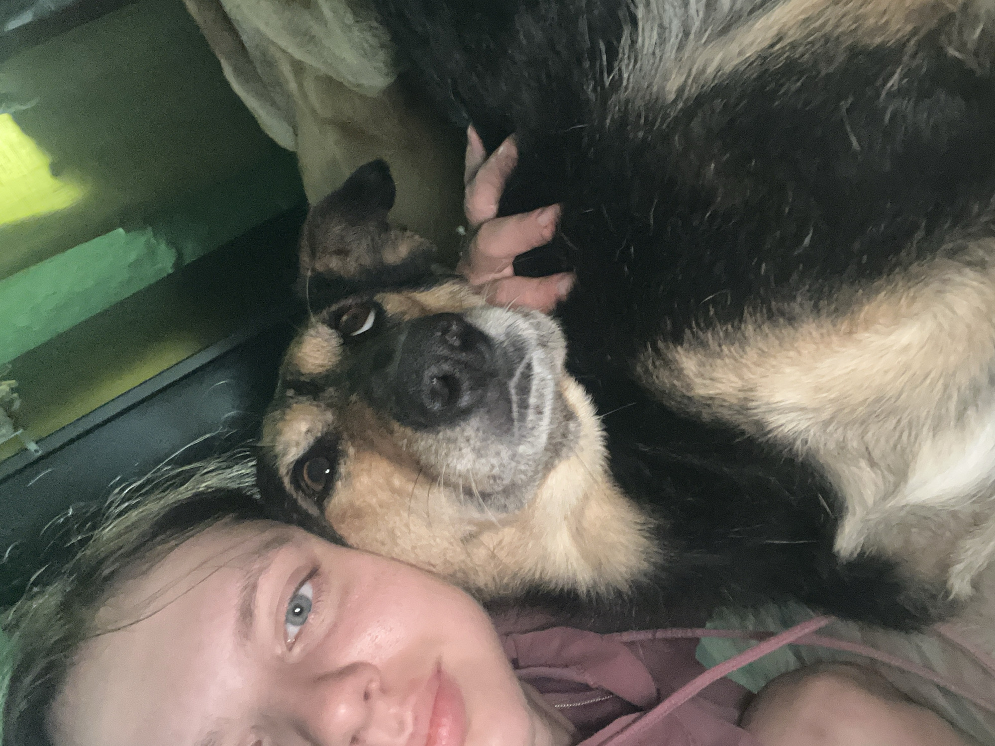 An indoor, close-up, self-portrait photo shows a young woman and a dog. The woman is on the left, facing the camera, with her left eye and cheek visible. Her hair is light brown and appears somewhat messy. She is wearing a pink hooded sweatshirt. Next to her, on the right, is a dog, likely a German Shepherd mix, with black, brown, and tan fur. The dog's head is resting on the woman's chest, and its right paw is touching the woman's hand. The dog's expression is calm, with its eyes looking slightly upward. The background is dark and indistinct, with hints of green and a lighter beige color, possibly indicating furniture or a wall. The overall lighting suggests an indoor environment, possibly a bedroom or living area. There is no identifiable information in the image that would place this scene specifically in Nizhny Tagil, Russia.