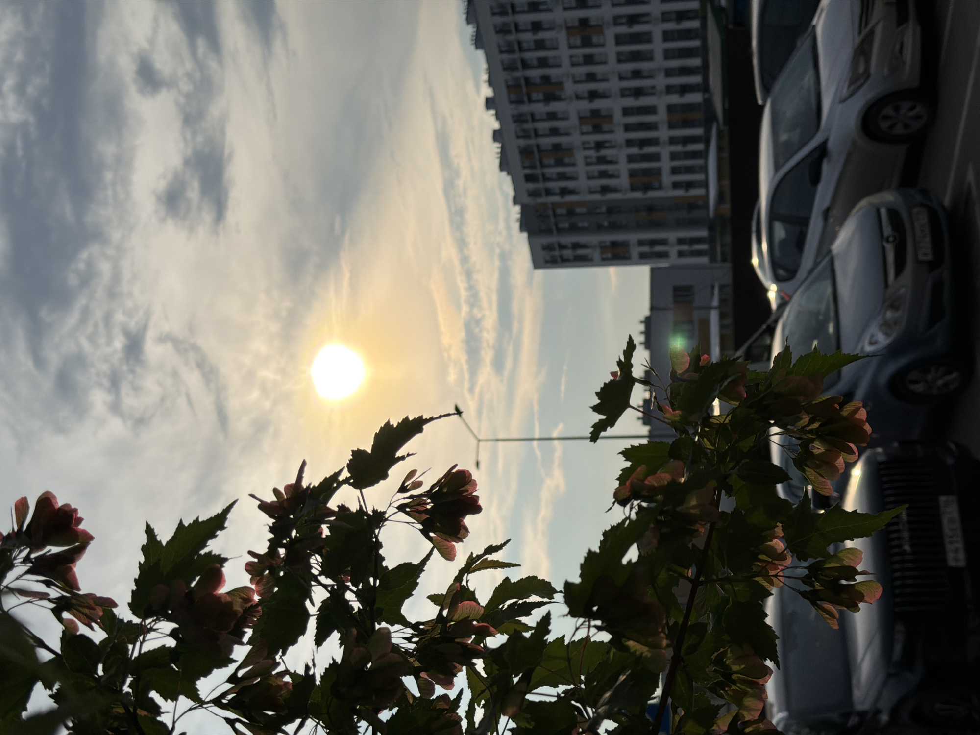In a city environment, possibly Unknown, Unknown, the sun shines brightly through a cloudy sky, casting a warm glow. In the foreground, a leafy branch with hanging seed pods is silhouetted against the sky. Several cars are parked in a lot in the mid-ground, and a large, modern building with a repeating window pattern is visible in the background. A street lamp stands between the parked cars and the building. The image captures a moment of natural beauty amidst an urban setting, with the sun's light filtering through the leaves and clouds.