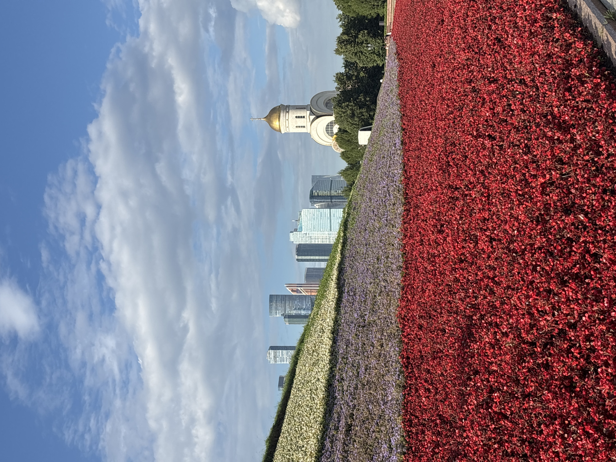 This is a photograph of the Victory Park (Park Pobedy) on Poklonnaya Hill in Moscow, Russia. In the foreground, a vast expanse of red flowers creates a vibrant carpet that slopes upwards. Behind the red flowers, there is a band of purple flowers, and above that, a band of white flowers. In the middle ground, a white church with a golden dome stands prominently, surrounded by green trees. In the background, the modern Moscow City skyline with its towering skyscrapers is visible against a partly cloudy blue sky. The overall scene depicts a blend of natural beauty and urban development. There are no people clearly visible in the image.