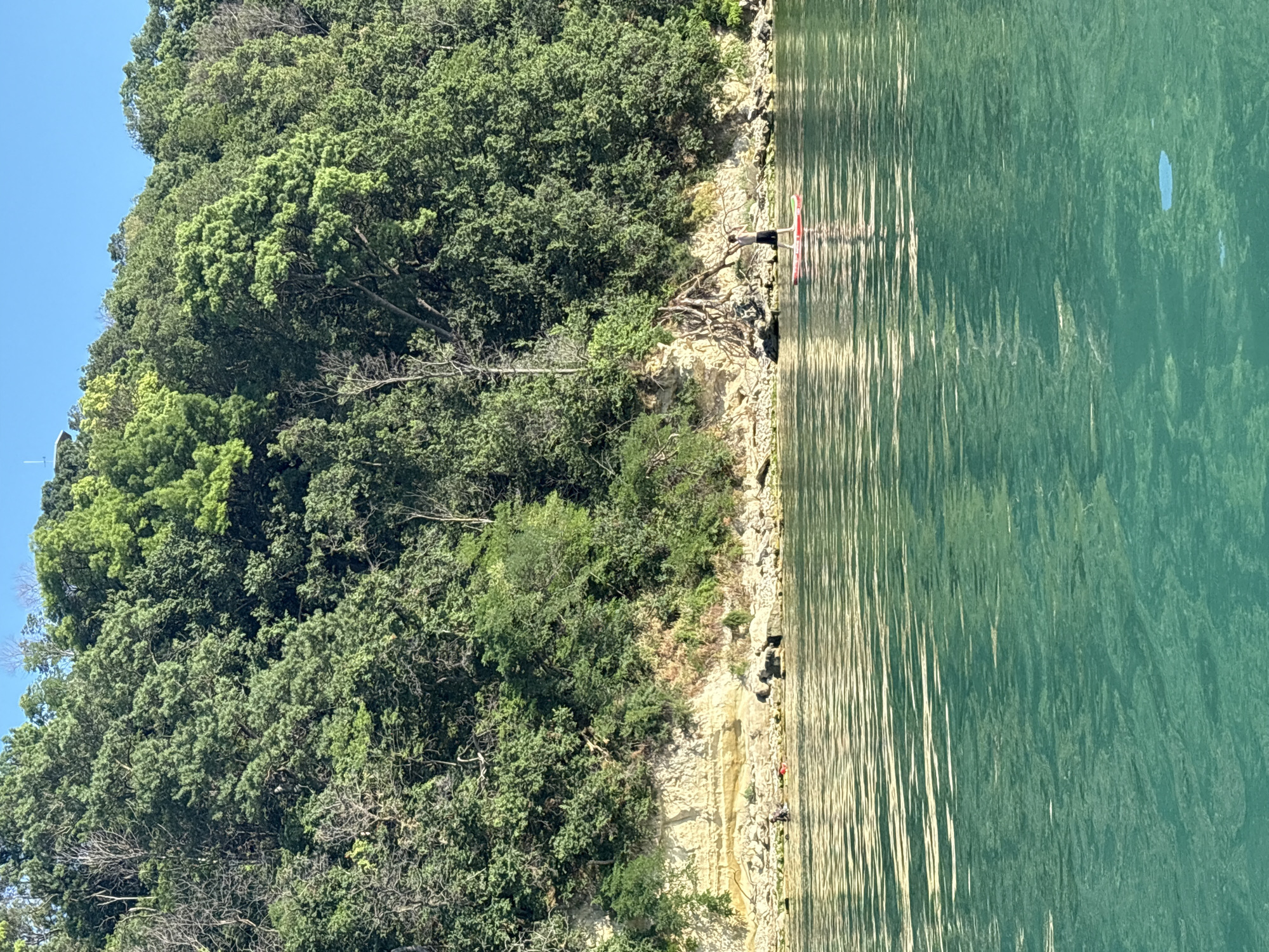 The image shows a bright, sunny day with a calm, turquoise body of water in the foreground. In the background, a steep, wooded embankment rises from the water's edge. The embankment is covered in lush green trees and vegetation, with some rocky outcrops and lighter colored cliff faces visible. Along the shoreline, there are a few scattered rocks and some areas of sparse vegetation.
In the water, a person is stand-up paddleboarding on a red and white board. The person is standing and appears to be paddling. To the left of the paddleboarder, closer to the shore, there are two figures in the water, appearing to be engaged in some activity. There are also some objects on the rocky shore, including what appears to be a red object, possibly a bag or towel, and several dark shapes that could be rocks or other debris. The sky above is a clear, bright blue.