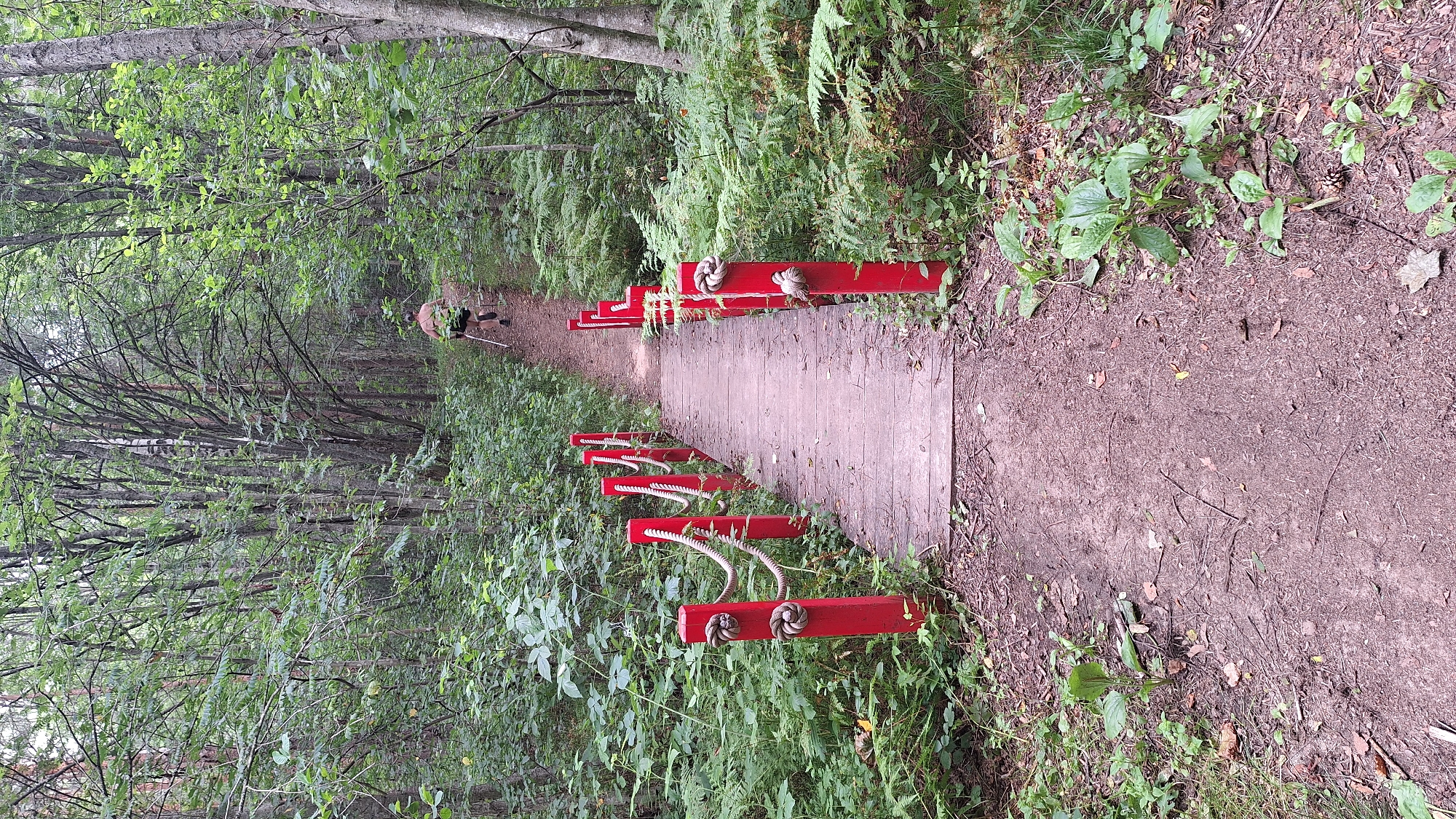 The image shows a wooden bridge with red posts and ropes crossing a dirt path in a forest. A person is walking up the path away from the bridge, holding two walking sticks. The bridge is made of wooden planks and has red painted posts on either side. Thick ropes are strung between the posts, secured with knots. The path is covered in dirt and fallen leaves, and the surrounding environment is dense with green foliage, including trees and ferns. The overall scene suggests an outdoor recreational area.