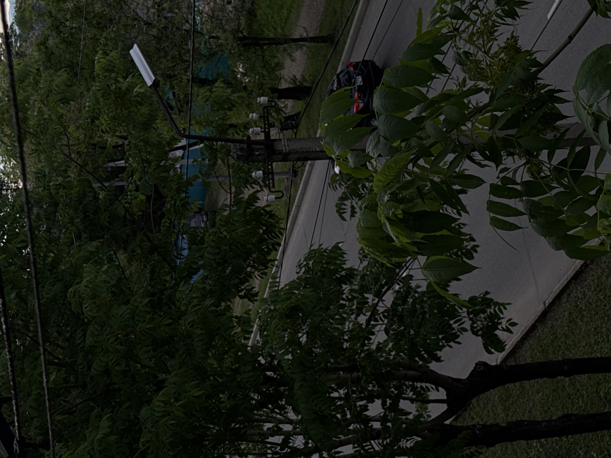 An outdoor scene, likely viewed from a slightly elevated position and rotated counter-clockwise, depicts a quiet street overshadowed by lush green trees. The overall lighting is dim, suggesting either dusk, early morning, or an overcast day, with deep shadows enhancing the green hues of the foliage.
Dominating the frame are numerous trees with dense canopies of compound leaves, casting the scene in a subdued light. In the midground, a modern-style street light with a rectangular, white fixture extends from a concrete utility pole. This pole also supports multiple white ceramic insulators and a network of overhead wires, which are somewhat obscured by the surrounding branches.
Partially visible beneath the trees and beside the utility pole is the rear section of a dark-colored car, featuring red taillights, parked on the side of a paved road. A curb separates the road from a strip of green grass. Beyond the immediate street, more trees and hints of structures are visible in the background, further enveloped by the dim light. There are no people or discernible activities taking place. No visible text is present in the image.
The scene conveys a tranquil, almost melancholic atmosphere, characteristic of a residential or semi-urban area in Birobidzhan, Russia.
