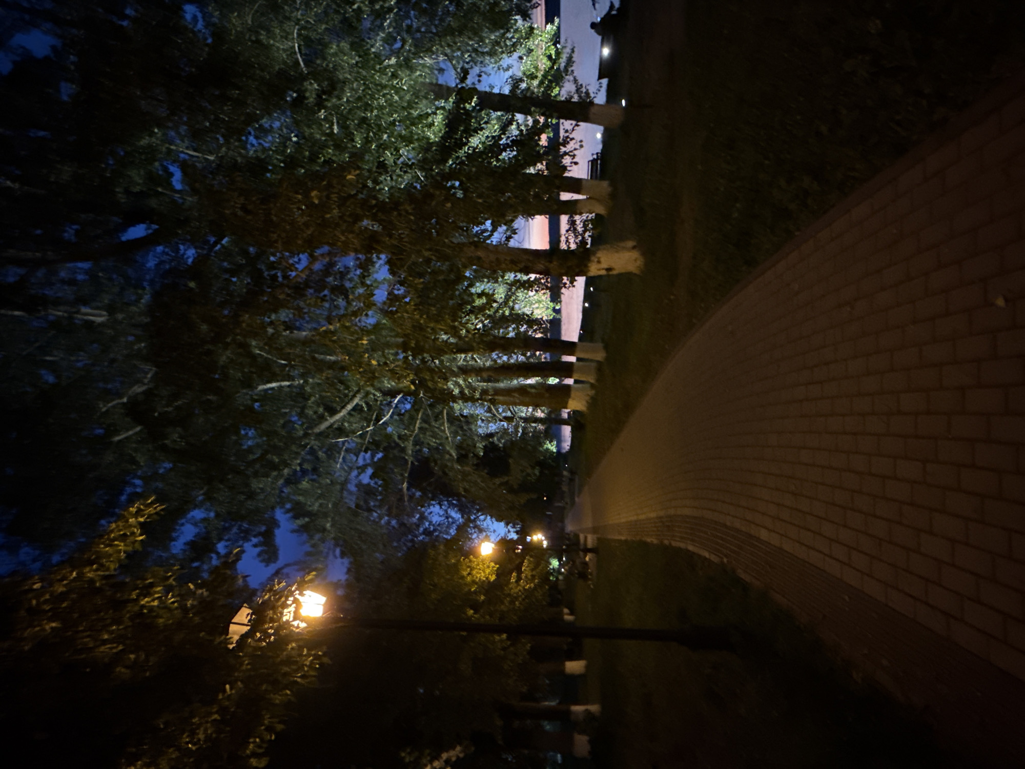 The image depicts a paved walkway through a park at dusk or night. The walkway is illuminated by several lampposts, casting a warm glow on the brick-like paving stones. On either side of the walkway, grass and trees are visible. The trees are tall, with some of their trunks painted white at the base. In the background, a body of water, likely a lake or river, can be seen, with a faint hint of sunset colors in the sky. There are one or two figures seated near the water's edge. The scene suggests a peaceful, public park area in Votkinsk, Russia, possibly along the Votkinsk Reservoir.