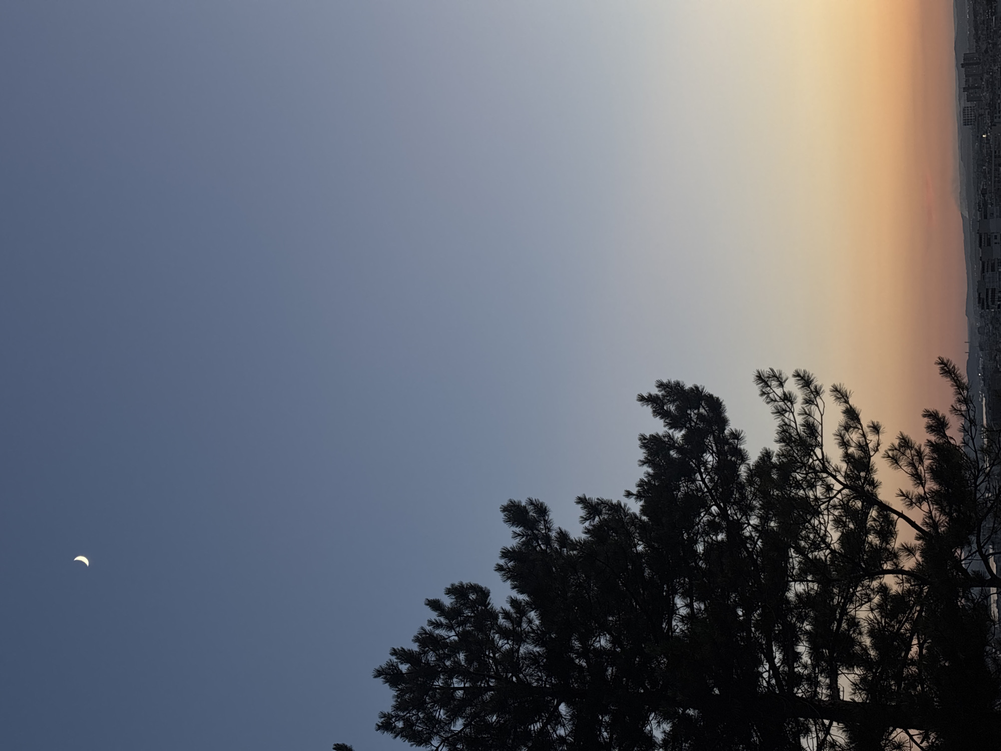 The image depicts a view of the city of Varna, Bulgaria, at dusk. A crescent moon is visible in the clear blue sky on the upper left side. In the foreground, the dark silhouette of a pine tree occupies the left half of the frame, its branches extending across the sky. The lower portion of the image shows a gradient of colors in the sky, transitioning from a pale blue near the top to a warm orange and pink hue near the horizon, indicative of sunset. Below the colorful sky, the faint silhouette of the Varna cityscape is visible, with buildings and distant hills. No people are discernible in the image.