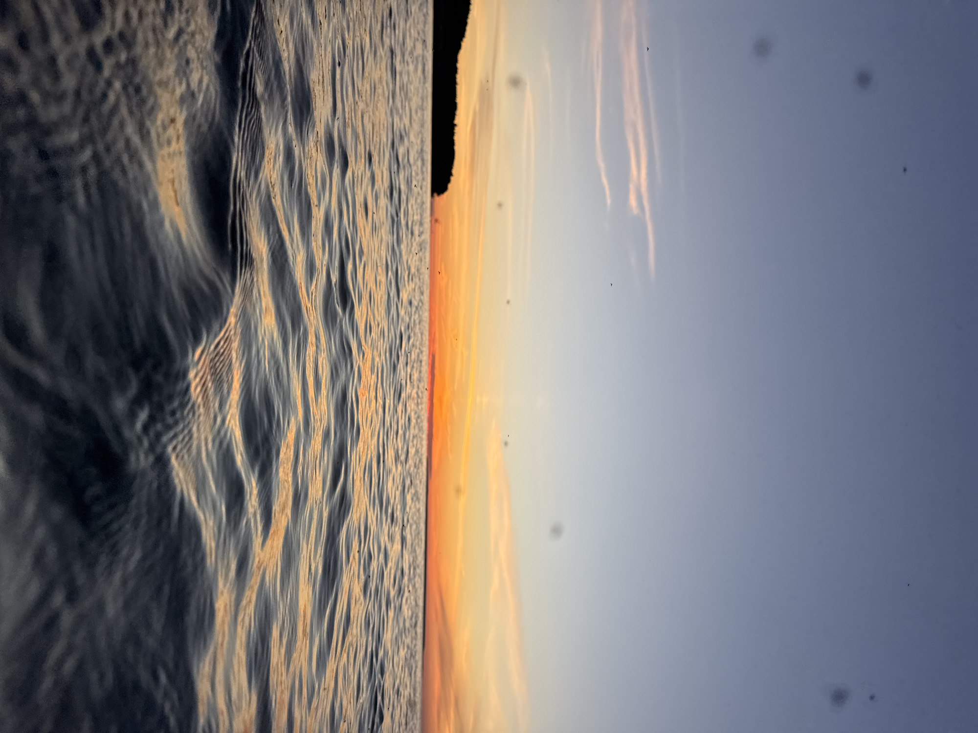The image depicts a serene water scene at sunset. The foreground is dominated by the rippling surface of dark water, reflecting the warm hues of the sky. In the distance, a silhouetted treeline forms a natural horizon against the vibrant orange and pink gradient of the sunset. The sky transitions from a soft blue at the top to a fiery orange near the horizon, with thin wisps of clouds adding texture. A few small birds are visible in the sky and on the water. There are also some dark circular spots scattered across the image, likely lens artifacts. The scene conveys a sense of calm and natural beauty. This image does not contain any specific landmarks or indicators that would place it within the city of Tallinn, Estonia.