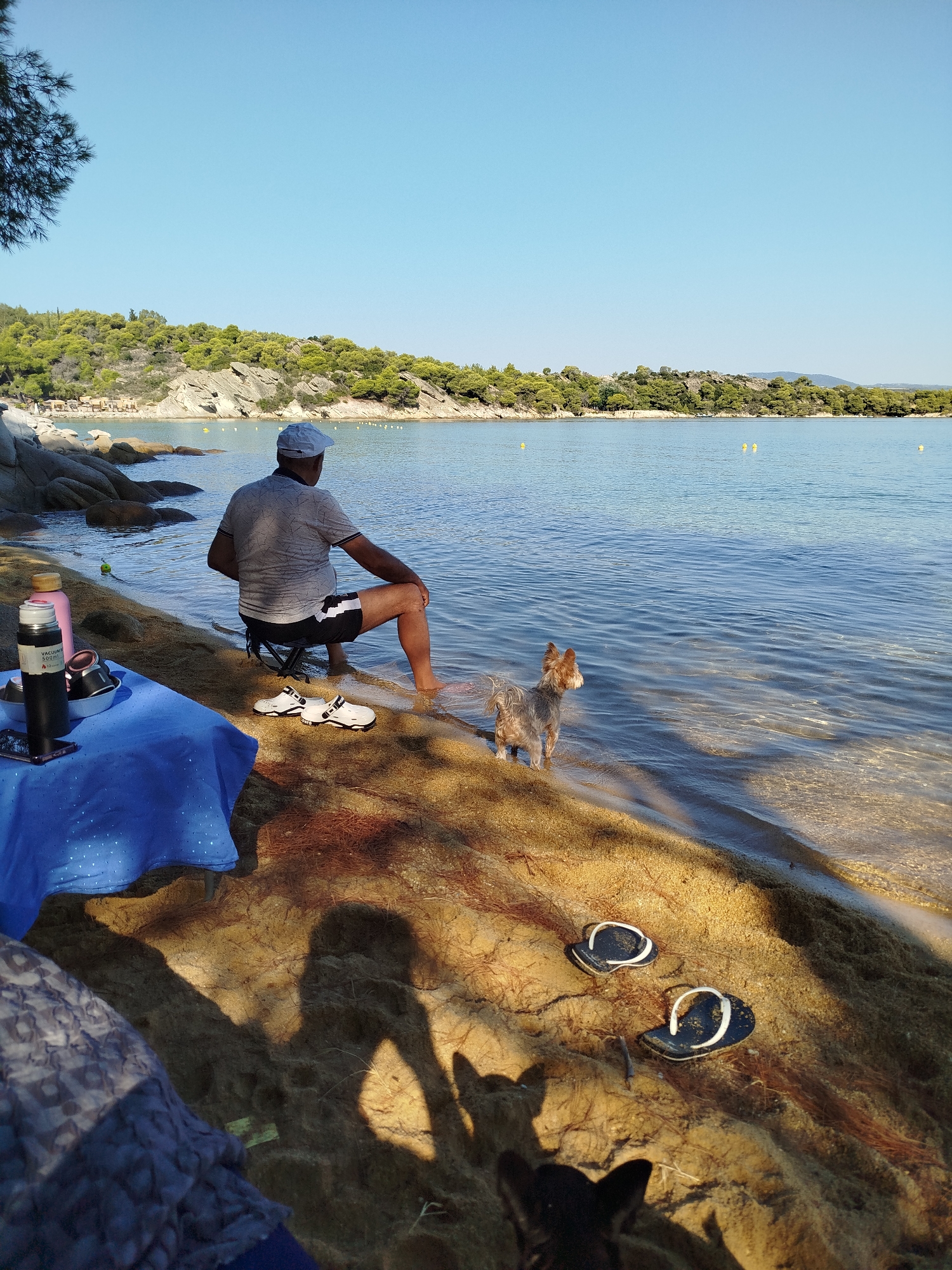 A man sits on a portable stool on a sandy beach, facing the sea. He is wearing a grey t-shirt, black shorts, and a white baseball cap. His right foot is in the shallow water. Beside him, a small Yorkshire Terrier stands in the water, looking out towards the sea. In the foreground, a blue cloth covers a table with a black thermos, a pink bottle, and a cell phone. Two pairs of black flip-flops are on the sand. The background shows a rocky coastline covered with green trees, and the clear blue sea with a few yellow buoys. The image appears to be taken in the Sithonia Municipal Unit of Greece.