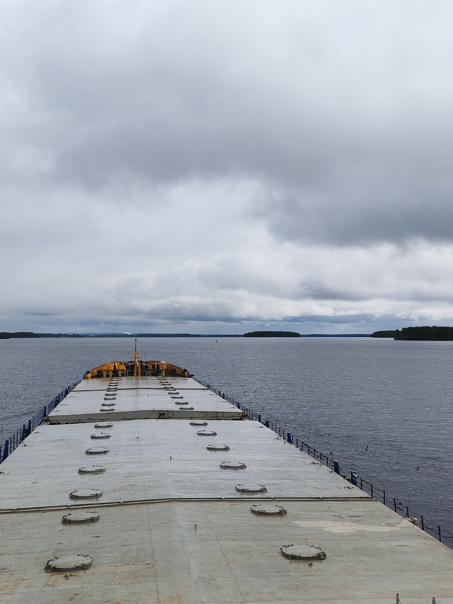 A cargo ship, viewed from the deck, traverses a body of water under an overcast sky. In the distance, the shoreline reveals dense forests and a faint industrial structure on the horizon. The ship's deck is comprised of bolted-down hatches, and a yellow structure is visible at the front of the deck. Birds can be seen flying near the water. While the scene has characteristics resembling Anisimovo, Russia, based on landscape and infrastructure, definitive location confirmation is not possible without additional information.