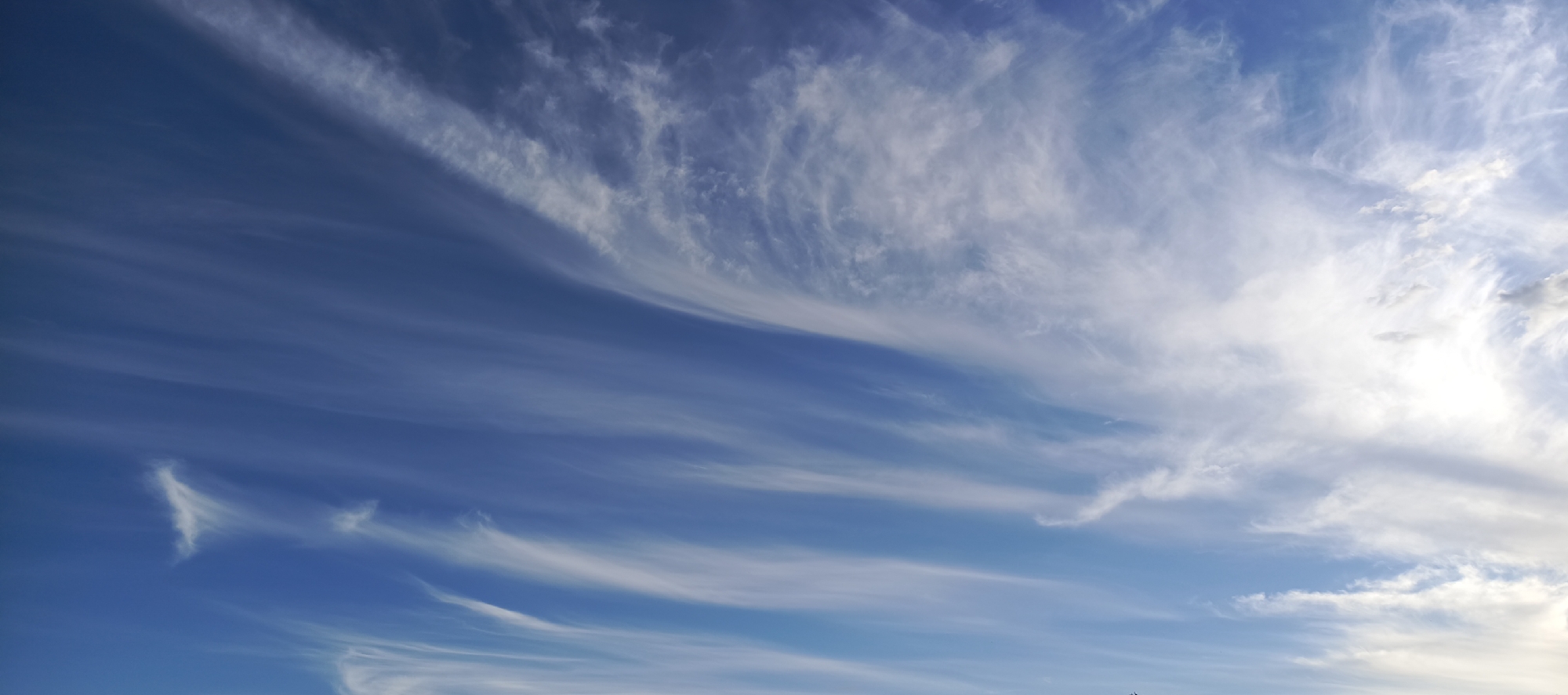 This is a wide-angle, low-angle photograph of a bright blue sky filled with wispy white cirrus clouds. The clouds are spread across the frame, with denser formations in the upper right and thinner, more dispersed streaks stretching towards the lower left. Some of the clouds have a feathery appearance, while others are more elongated and streaky, suggesting wind movement. The overall impression is one of a clear, sunny day with high-altitude clouds. The lighting suggests it could be late afternoon or early morning, given the bright but not harsh sunlight. There are no visible people, objects, or text in the image. The setting is an open sky, likely observed from a ground-level perspective in a rural or natural environment, given the location context provided as Мерчалово Снт, Russia, which translates to "Merchalovo Garden Partnership" in Russia, indicating a dacha or countryside area. The mood conveyed is peaceful and expansive, characteristic of observing a beautiful sky.