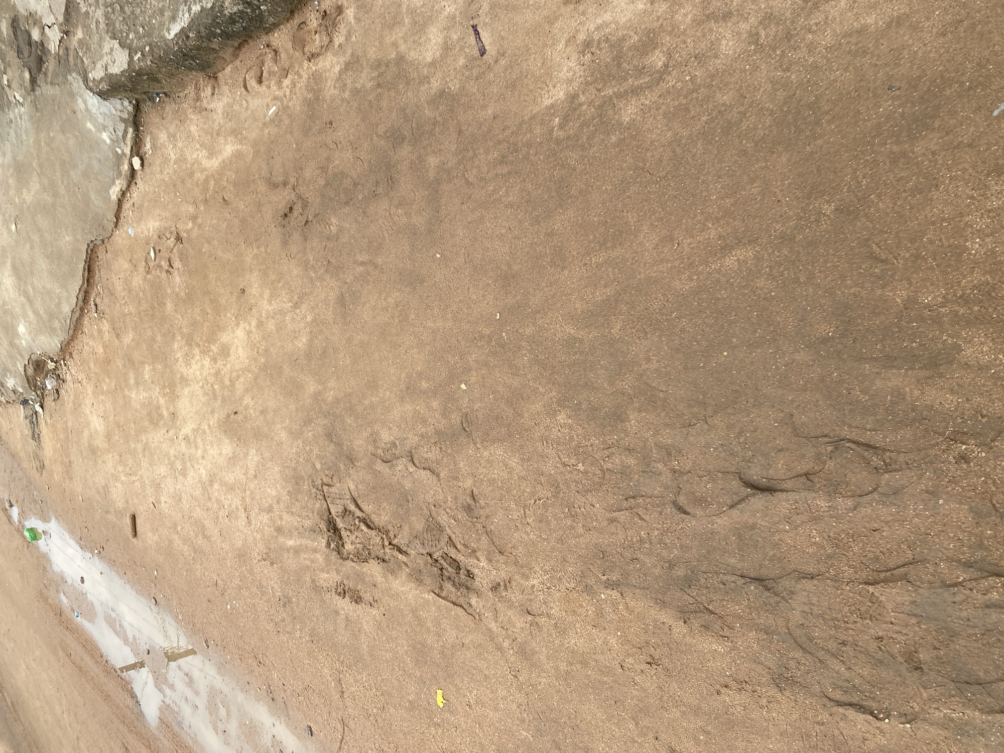 The image shows a close-up, overhead view of a rough, dusty ground surface, likely a dirt path or unpaved area. The ground is primarily a light brown color with darker patches and textured variations. Some areas appear smoother, while others are rougher, with visible pebbles and indentations.
On the left side of the image, a section of a cracked concrete or stone structure is visible, appearing to be a raised curb or wall. This structure is darker and more irregular in shape than the ground. A thin line of white, wet material, possibly water with some sediment or a chalk-like substance, runs along the edge of the ground near the concrete structure. Small pieces of litter, including a green plastic bottle and other unidentifiable debris, are scattered on the ground, particularly near the wet area.
Several indistinct footprints or impressions are visible pressed into the dirt, suggesting recent foot traffic. One larger, more defined impression in the center-right area of the image shows a textured pattern, possibly from a shoe or tire tread. In the upper portion of the image, a small, dark, elongated piece of debris is present on the brown surface, and further down, a small yellow leaf-like object is visible.
The lighting suggests it is daytime, with the sun casting shadows that create a sense of texture and depth. The overall scene appears to be an outdoor, unkempt area, possibly a roadside or a less-maintained public space. There is no visible text in the image. The setting evokes a sense of everyday life in a location with unpaved ground and some litter.