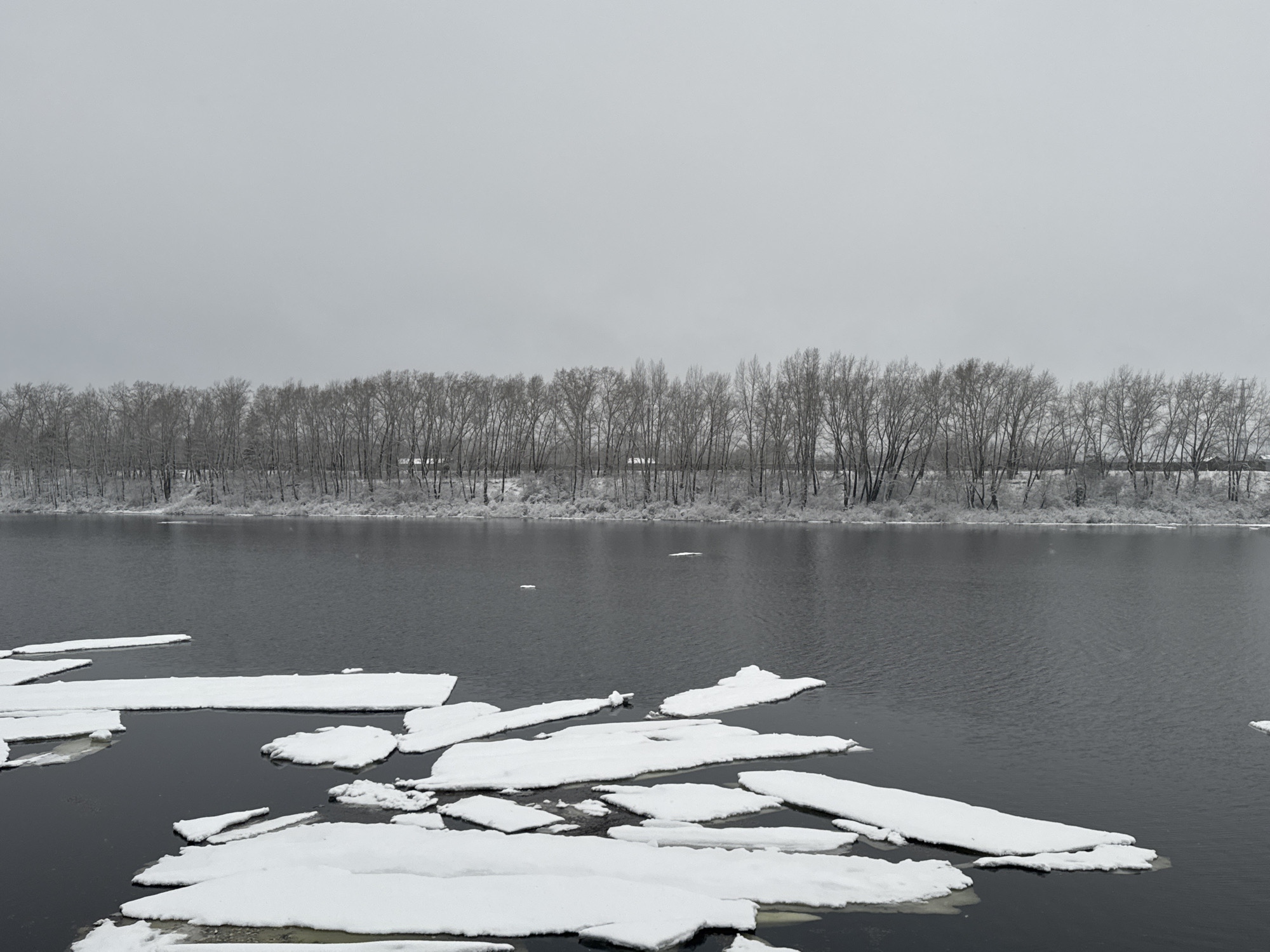 The image shows a winter scene on the Kama River in Chaikovsky, Russia. The foreground features dark water with multiple large ice floes covered in snow. In the midground, the river stretches towards a distant shore lined with bare trees dusted with snow. The sky is overcast and uniformly gray, creating a muted, monochrome aesthetic. There are no people or animals visible in the scene. The overall impression is one of cold and stillness.