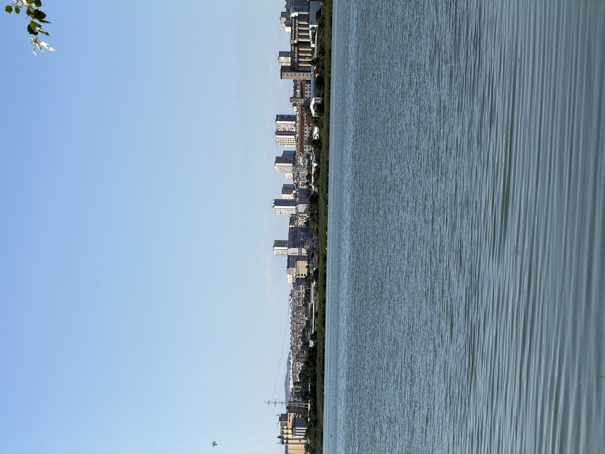 The image shows a wide shot of a body of water, likely a lake or bay, in the foreground. The water has small ripples on its surface. In the middle ground, a dense line of vegetation, possibly reeds or tall grass, borders the water. Beyond the vegetation, a city skyline is visible, characterized by numerous apartment buildings and some industrial structures. Tall, white-washed buildings with many windows dominate the cityscape. A tall electricity pylon with cross-arms is prominent on the left side of the cityscape. The sky is a clear, light blue, with a few small birds visible as tiny specks. A branch with green leaves hangs from the top right corner of the frame. This scene is characteristic of the Burgas Bay area in Burgas, Bulgaria, specifically the areas adjacent to the Atanasovsko Lake or the Burgas Lakes, where the city meets the natural landscape and industrial facilities. There are no people clearly visible in the image.