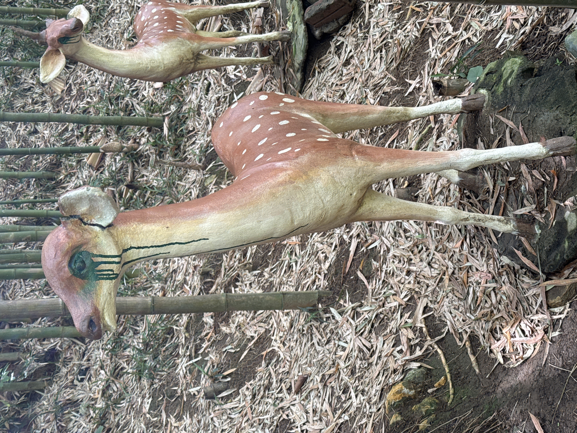 Two faux spotted deer lie prostrate amidst dried leaves and bamboo poles. The deer are painted brown with white spots and have crudely applied green and black paint around their eyes. They appear to be outdoor decorations in a park or garden. The ground is covered in a mix of dried leaves, dirt, and scattered bamboo sections. The location is Ngã Ba Kim, Vietnam.
