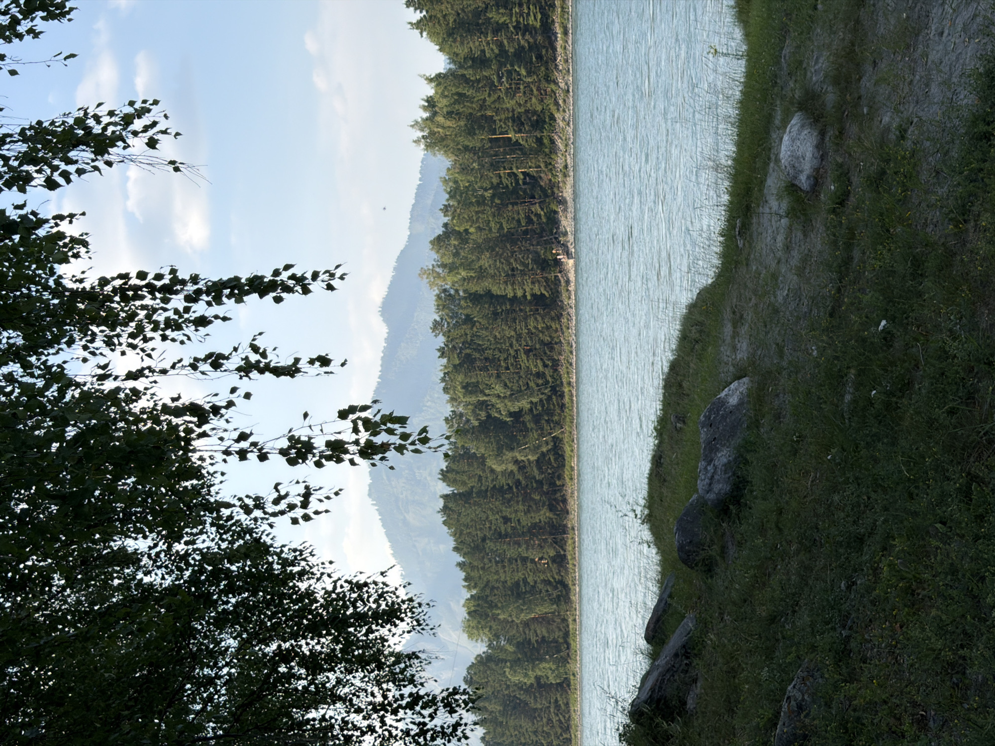 A picturesque landscape scene unfolds, likely captured in Anos, Russia, featuring a wide, tranquil river flowing through a verdant environment. The foreground is characterized by a grassy embankment dotted with several large, grey rocks, suggesting a natural, somewhat rugged terrain. Lush green grass covers the ground, interspersed with patches of bare earth.
Dominating the midground is a dense forest of pine and deciduous trees, forming a dark green, textured line along the riverbank. Beyond the forest, a majestic, hazy mountain range rises, its peaks softened by distance and atmospheric conditions. The sky above is a pale blue, with a few wispy white clouds adding depth and texture.
In the upper left portion of the frame, the dark green foliage of overhanging tree branches, possibly birch, partially obscures the view, casting a dappled shadow and framing the scene. A few slender branches with leaves droop downwards, adding a natural, organic element.
The river itself appears calm, with a slightly choppy surface reflecting the sky and surrounding greenery, exhibiting a light blue-green hue. On the distant riverbank, nestled within the treeline, a small group of people can be observed, possibly enjoying the scenery or engaged in recreational activities. The overall impression is one of serene natural beauty, evoking a sense of peace and tranquility.