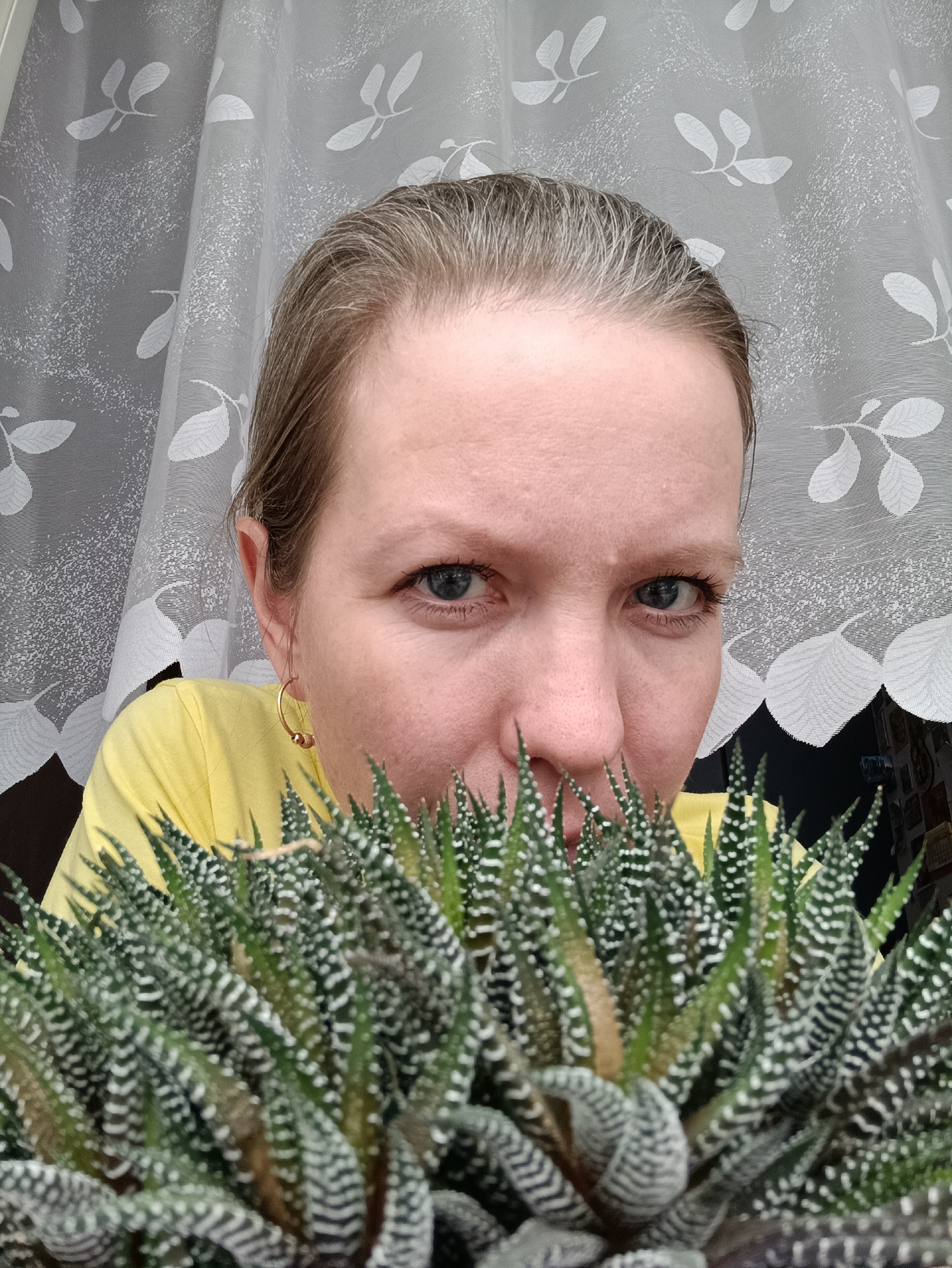 A medium close-up shows a fair-skinned woman with light brown hair pulled back, blue eyes, and a gold hoop earring in her left ear, positioned behind a Haworthia plant with green and white striped leaves. The woman is wearing a yellow shirt. Behind her is a white curtain with a leaf pattern. The location is Chaikovsky, Russia.