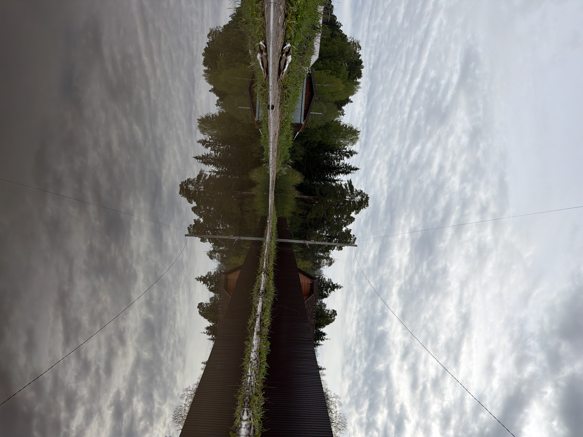 The image shows a vertically inverted view of a scene in Chaikovsky, Russia. The upper portion of the image depicts a body of water reflecting a cloudy sky and treeline. At the center, where the image appears mirrored, is a grassy area and a dark, wooden building resembling a tower. Power lines are visible against the sky. The scene suggests a rural or semi-rural setting near a body of water.