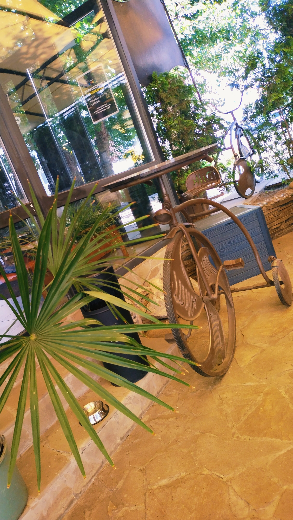 The image shows an outdoor cafe or seating area with a decorative antique-style bicycle as a focal point. The bicycle, made of dark metal, is positioned on a stone-tiled surface. It has a large front wheel and a smaller rear wheel. A blue wooden chest is situated behind the bicycle. To the left, a large potted palm plant with spiky green fronds is prominent. In the background, a glass-fronted building with trees and foliage reflected in the glass suggests a location within a city. A sign with Ukrainian text is visible on the glass door of the building. The overall scene is brightly lit, possibly by natural sunlight filtering through the trees. The environment appears to be a public space in the city of Horishni Plavni, Ukraine, likely a cafe or restaurant patio.