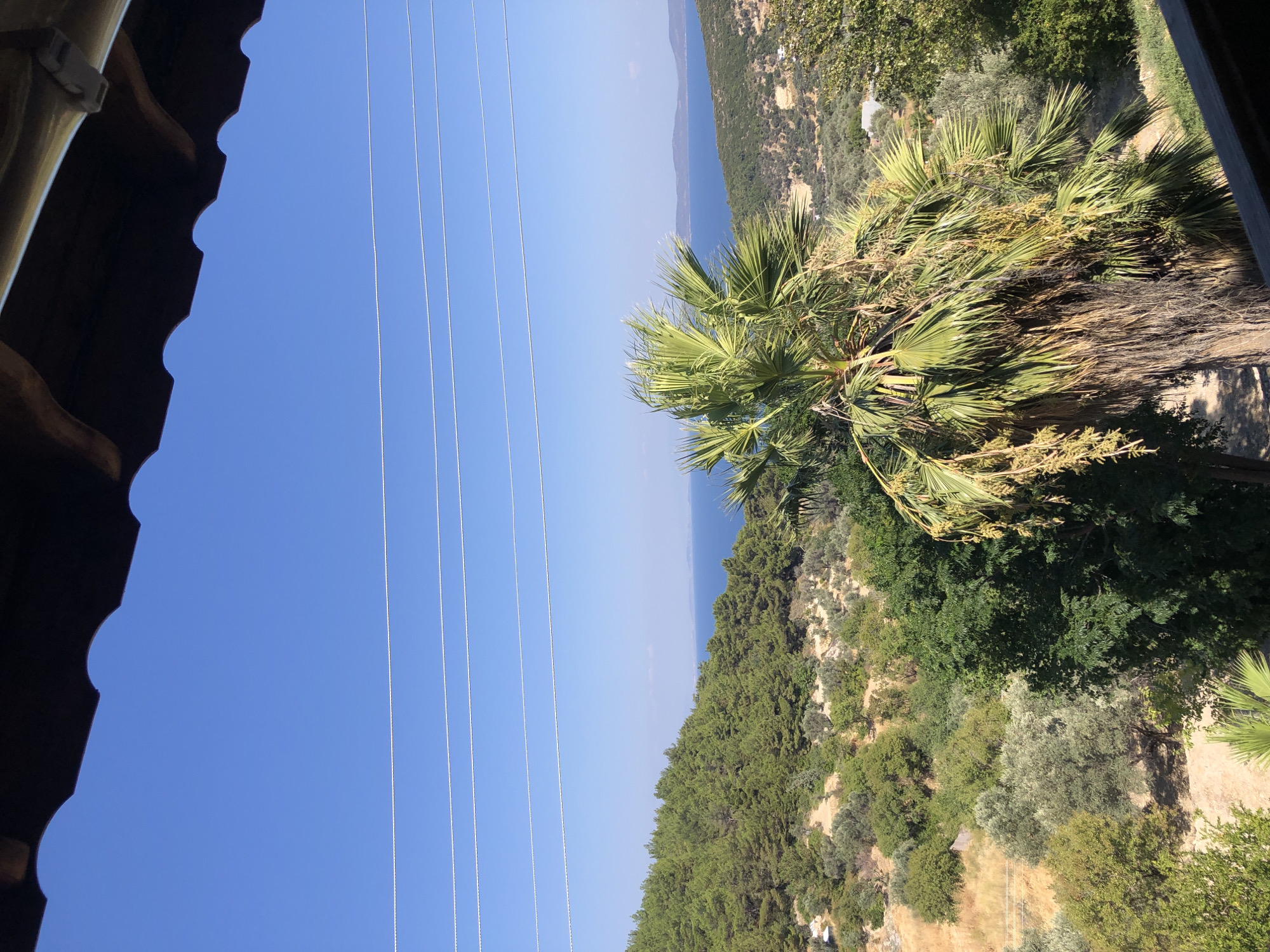 The image depicts a scenic view of the coastline near Karaburun, Turkey, on a clear day. The foreground is partially obscured by a dark, wooden overhang of a building, with a white clip visible on its underside. Below the overhang, a clear blue sky stretches across the frame, intersected by four thin, parallel electrical wires.
The mid-ground features a lush green hillside densely covered with pine trees. To the right of the pine-covered hill, a large palm tree with prominent fronds stands out. Beyond the hillside, the bright blue expanse of the sea is visible, meeting the horizon. In the distance, several islands or landmasses rise from the sea. The terrain is characterized by slopes with scattered vegetation, including olive trees, and dry, earthy patches. A few small white structures are nestled within the landscape. The overall scene conveys a sense of natural beauty and tranquility.