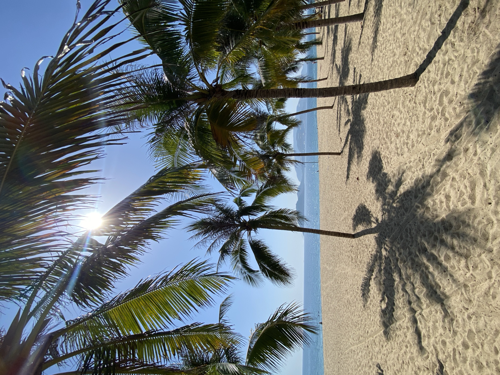The image depicts a sun-drenched beach in Nha Trang, Vietnam, likely at a public resort or park, as suggested by the presence of palm trees lining the sandy shore. The foreground is dominated by a stretch of light-colored sand, with the distinct, elongated shadows of palm trees cast across it. Several palm trees stand upright on the beach, their fronds reaching towards the bright blue sky.
In the midground, the turquoise waters of the ocean meet the shore, with a gentle surf visible. A few individuals can be seen in the distance, on the beach and in the water, appearing as small figures against the vastness of the seascape. The background reveals a hazy coastline with hills or mountains, characteristic of the Nha Trang area. The sun is high in the sky, creating lens flare effects as it shines through the palm fronds, indicating it is likely midday. The overall atmosphere is one of a tranquil tropical beach setting.
