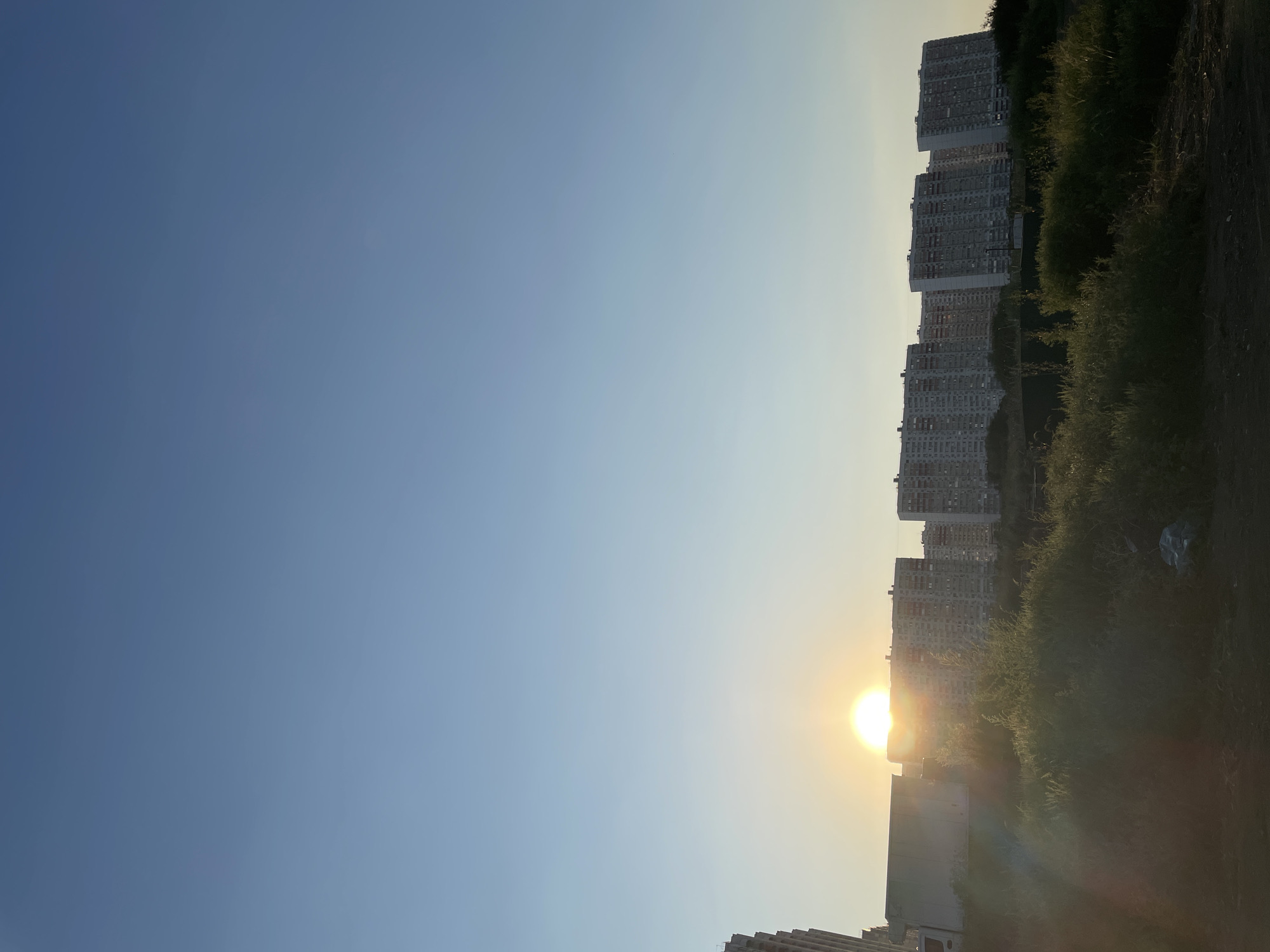 The image depicts a wide shot of a residential area in Rostov-on-Don, Russia, at sunset. The sun, a bright orb, is partially obscured by a line of tall, block-style apartment buildings that dominate the middle ground. These buildings are consistent in architectural style, suggesting a uniform development. In the foreground, there is a patch of dense, green grass and vegetation, with some dry, brown ground visible at the very bottom. A large, white box truck is partially visible on the left side, positioned in front of some of the buildings. The sky is clear and blue, transitioning to a lighter hue near the horizon where the sun is setting. The overall impression is that of an urban landscape during the evening.