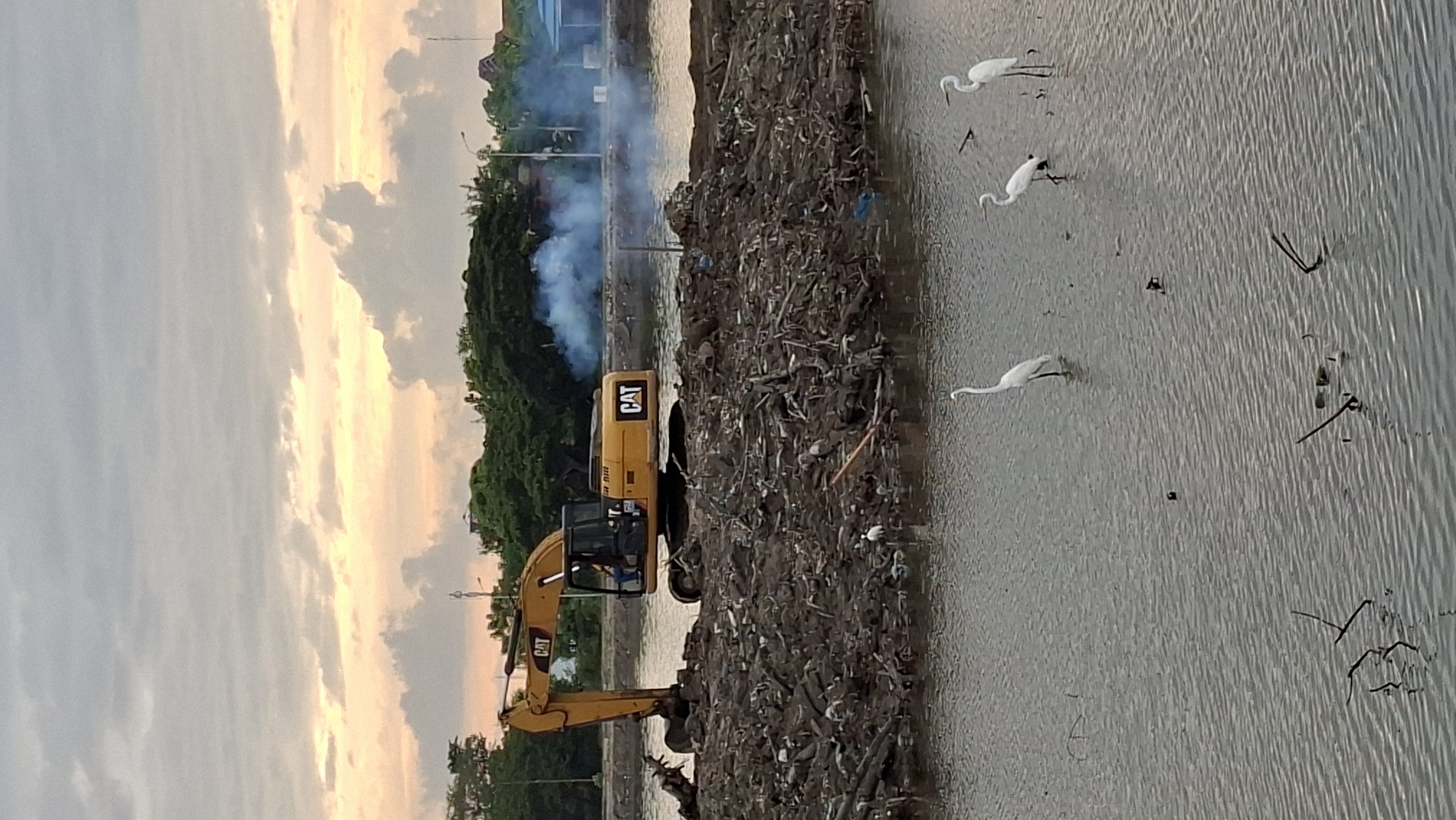The image depicts an excavator operating on a large pile of debris, possibly in a body of water. The excavator is yellow and branded with "CAT." There are several white herons wading in the water in the foreground. The environment appears to be a construction or cleanup site, with trees and buildings visible in the background. Smoke is emanating from the debris pile. The sky is overcast with some warm-toned clouds. This scene is consistent with ongoing land reclamation or debris removal projects often undertaken in coastal areas of Lhokseumawe, Indonesia, to address environmental challenges or expand infrastructure.
