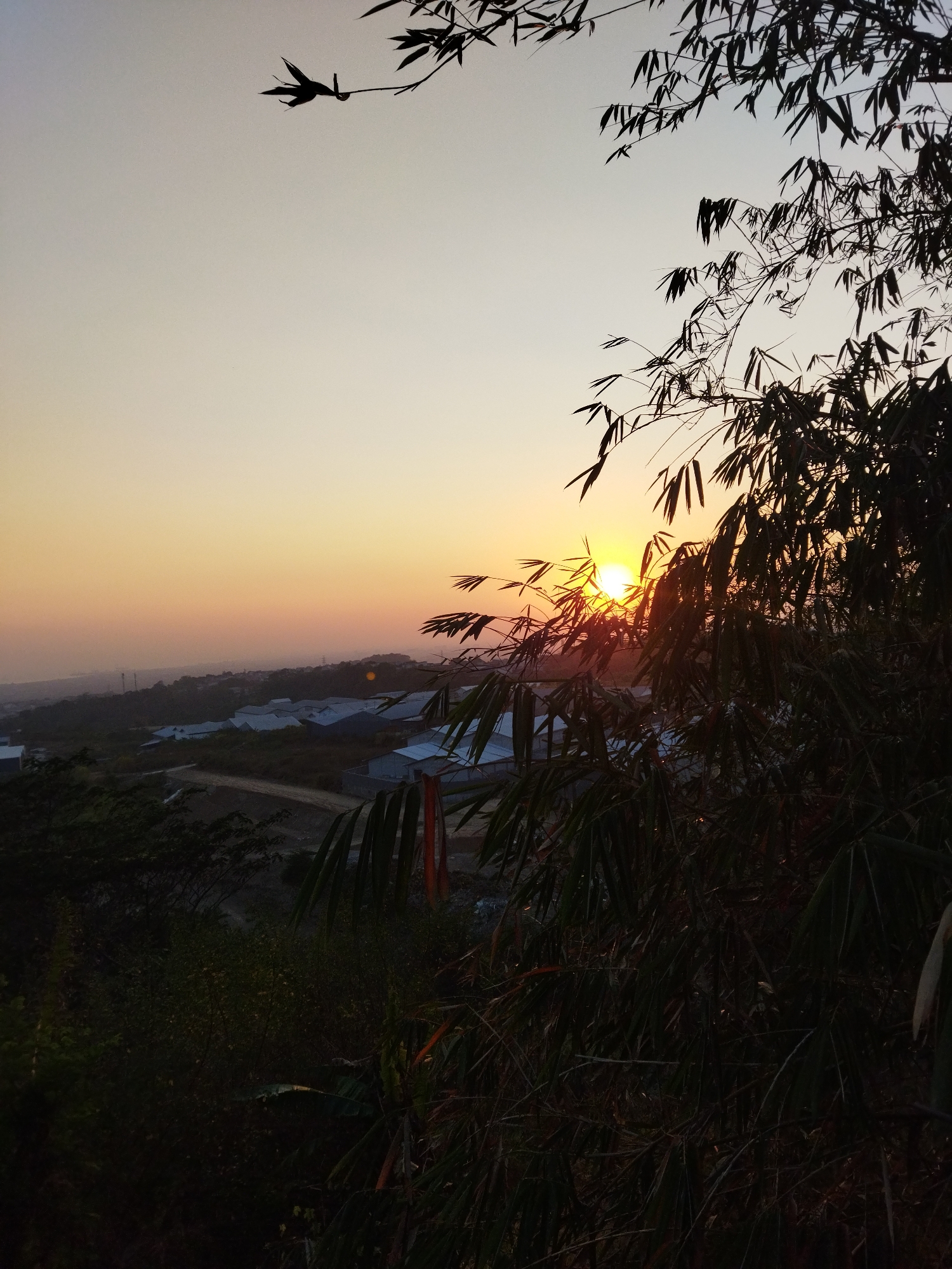 This is a vertical, medium-shot photograph taken at sunset overlooking an industrial area in Semarang, Indonesia. The foreground is dominated by the dark silhouette of bamboo branches and leaves, some of which are backlit by the setting sun. In the middle ground, a sprawling industrial or commercial complex is visible, characterized by numerous light-colored, angular rooftops. A dirt road winds through the complex. The background shows a hazy, hilly landscape extending towards the horizon, with a warm, gradient sky transitioning from pale yellow near the horizon to a soft gray at the top. The sun is a bright, slightly blurred orb near the center of the frame, partially obscured by the bamboo leaves, casting a warm glow across the scene. There are no people visible in the image.