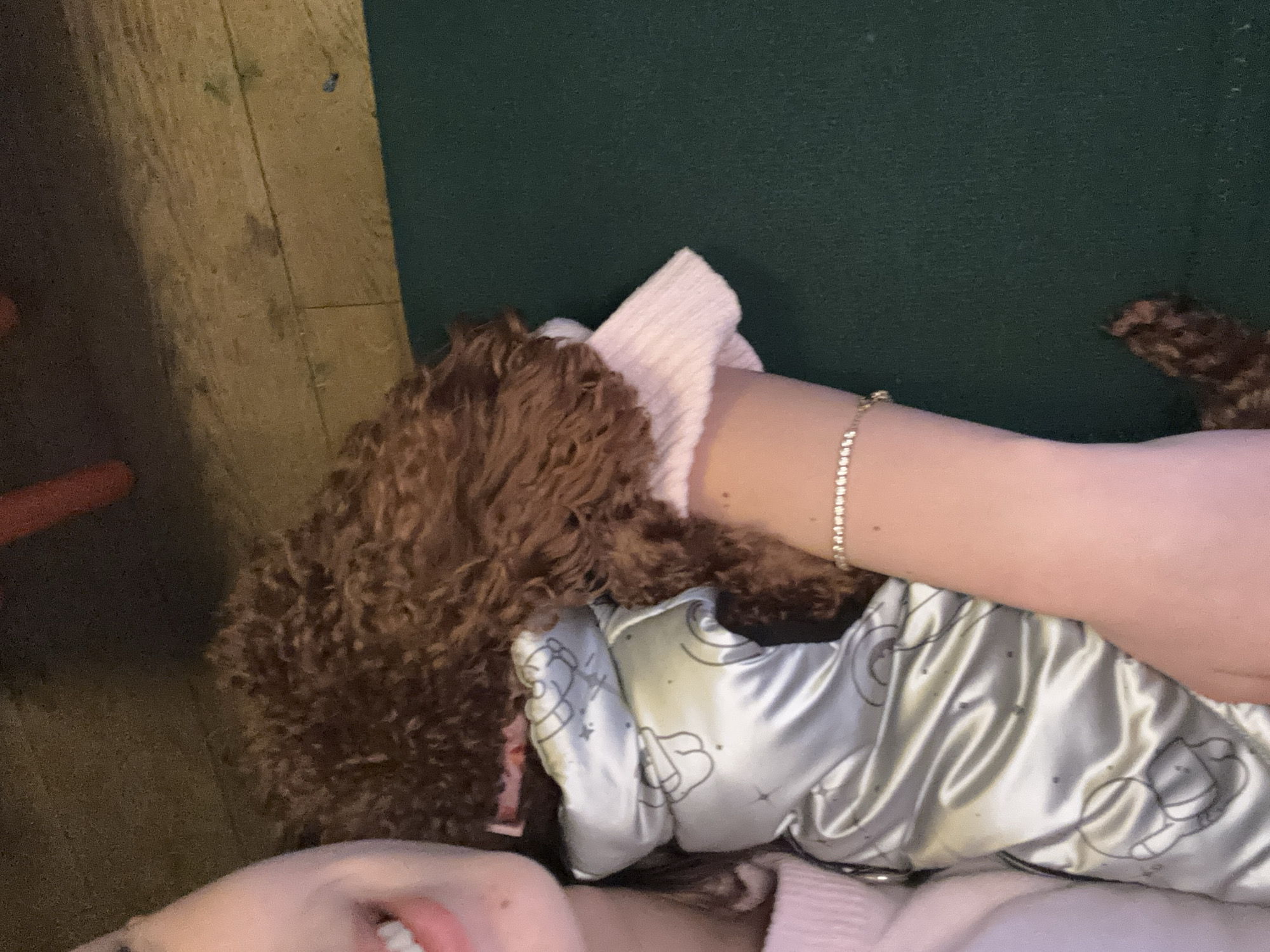 A close-up, slightly rotated, eye-level shot shows a person lying down next to a small brown poodle dog. The person, visible from the lips up, wears a light pink sweater and a silver silk pajama top with a cloud-and-moon pattern. A thin, bejeweled bracelet adorns their right wrist. The poodle, with its head resting on the person, has curly brown fur and a pink collar. The setting includes a wood floor, a green surface, and other soft textiles that are not clearly identified. The city of Sofia, Bulgaria is not visible.