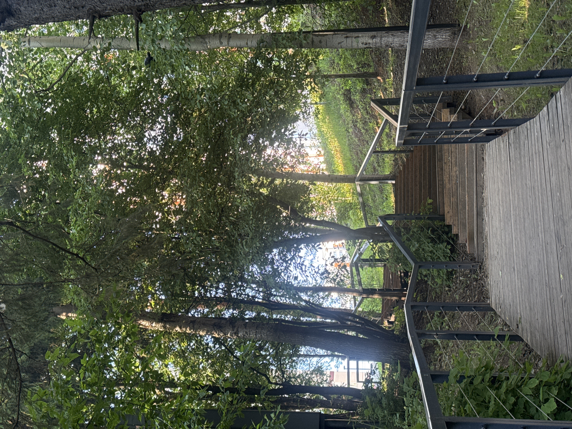 A wooden walkway leads to a set of wooden stairs ascending a grassy hill. The stairs are bordered by metal railings with thin cable infill. Lush green trees with dense foliage surround the walkway and stairs, with sunlight filtering through the leaves. In the background, buildings are visible through the trees. The scene appears to be a park or an outdoor recreational area within the city of Izhevsk, Russia. No people or animals are clearly discernible in the image. The overall impression is one of a serene, natural setting integrated into an urban environment.