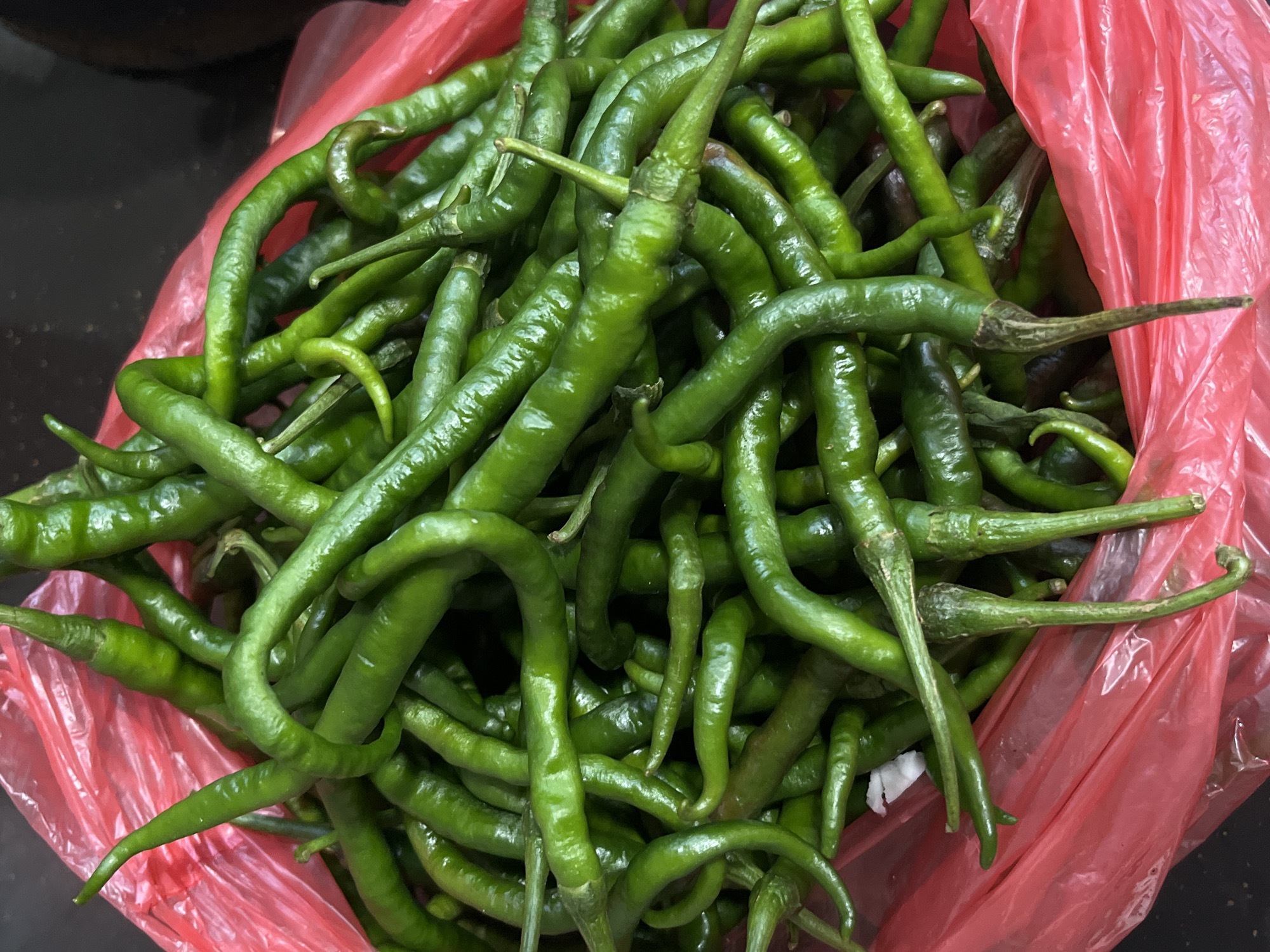 A close-up, overhead shot captures a generous pile of fresh, vibrant green chili peppers overflowing from a crinkled red plastic bag. The peppers are long and slender, with many exhibiting a distinct curve or twist. Their smooth, glossy skins reflect light, highlighting their freshness. Some of the stems are visible, a darker green or brown, and a few of the peppers show slight imperfections or a darker hue at their tips, suggesting a natural ripening process. The red plastic bag, with its opaque, slightly shiny surface, forms the backdrop and container for the produce. The overall impression is one of abundant, raw ingredients, likely destined for culinary use. The setting appears to be an indoor space, possibly a market stall or a kitchen, with a dark, out-of-focus background. There are no people visible in the image. The scene is devoid of any identifiable landmarks or specific details that would pinpoint its location within Teluk Air, Indonesia, beyond it being a place where such produce is sold or prepared.