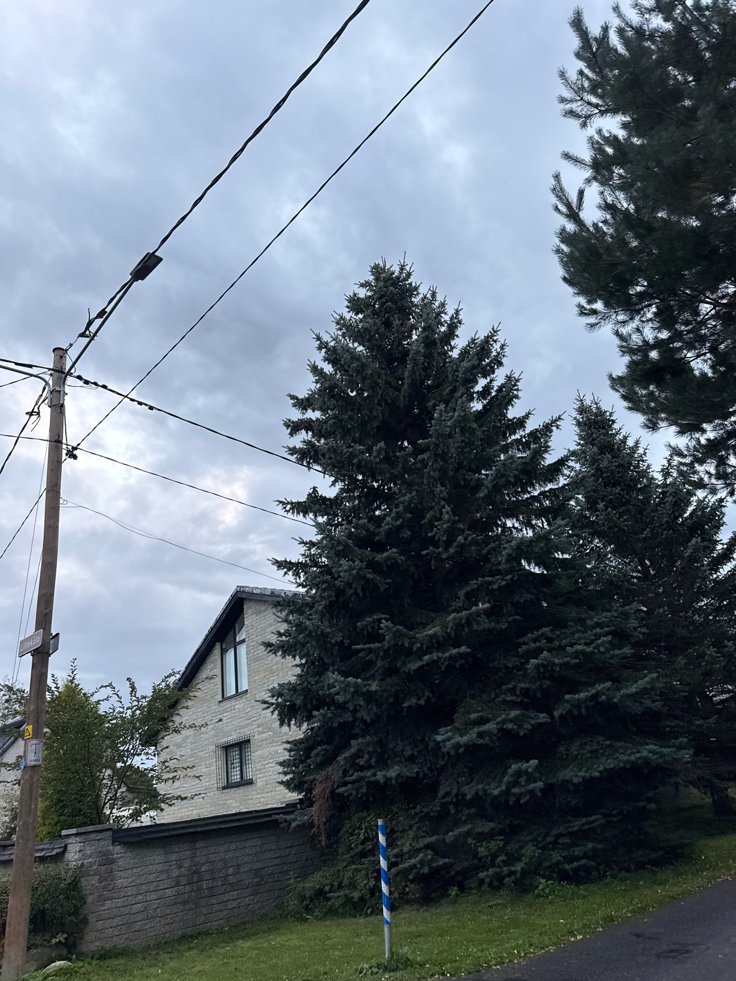 This is a low-angle, full shot of a street scene in Tallinn, Estonia, under a cloudy sky. A wooden utility pole with multiple power lines and a small lamp is positioned on the left side of the frame. Attached to the pole is a street sign that reads "Lilleküla". To the right of the pole, a light-colored brick house with a dark roof and a prominent gable window is visible, partially obscured by lush, dark green coniferous trees. A low, grey stone wall runs along the front of the property, with green grass and some shrubbery in the foreground. A blue and white striped marker post stands in the grassy area near the edge of an asphalt road on the right.
