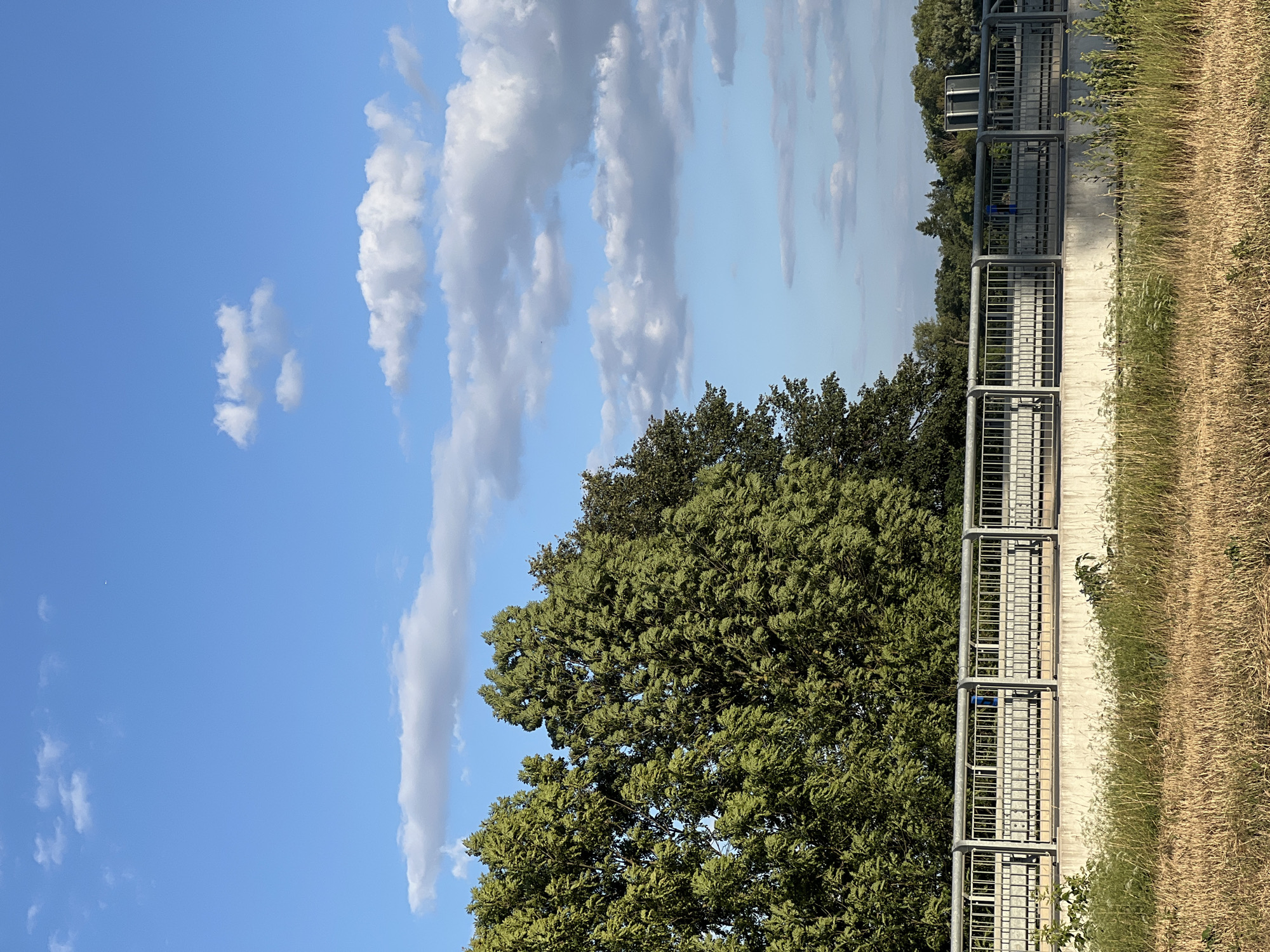 The image depicts a section of a highway overpass in Újezd u Brna, Czechia, on a clear, sunny day with a bright blue sky dotted with fluffy white clouds. A tall, dense line of green trees forms a backdrop behind the overpass, extending from the left to the right of the frame. The overpass itself features a concrete base topped with a metal railing, suggesting it is a pedestrian walkway or a barrier along the highway. In the foreground, dry, golden grass indicates a meadow or field bordering the road. The overall scene is serene, capturing a typical roadside landscape. There are no people or vehicles visible in the frame.