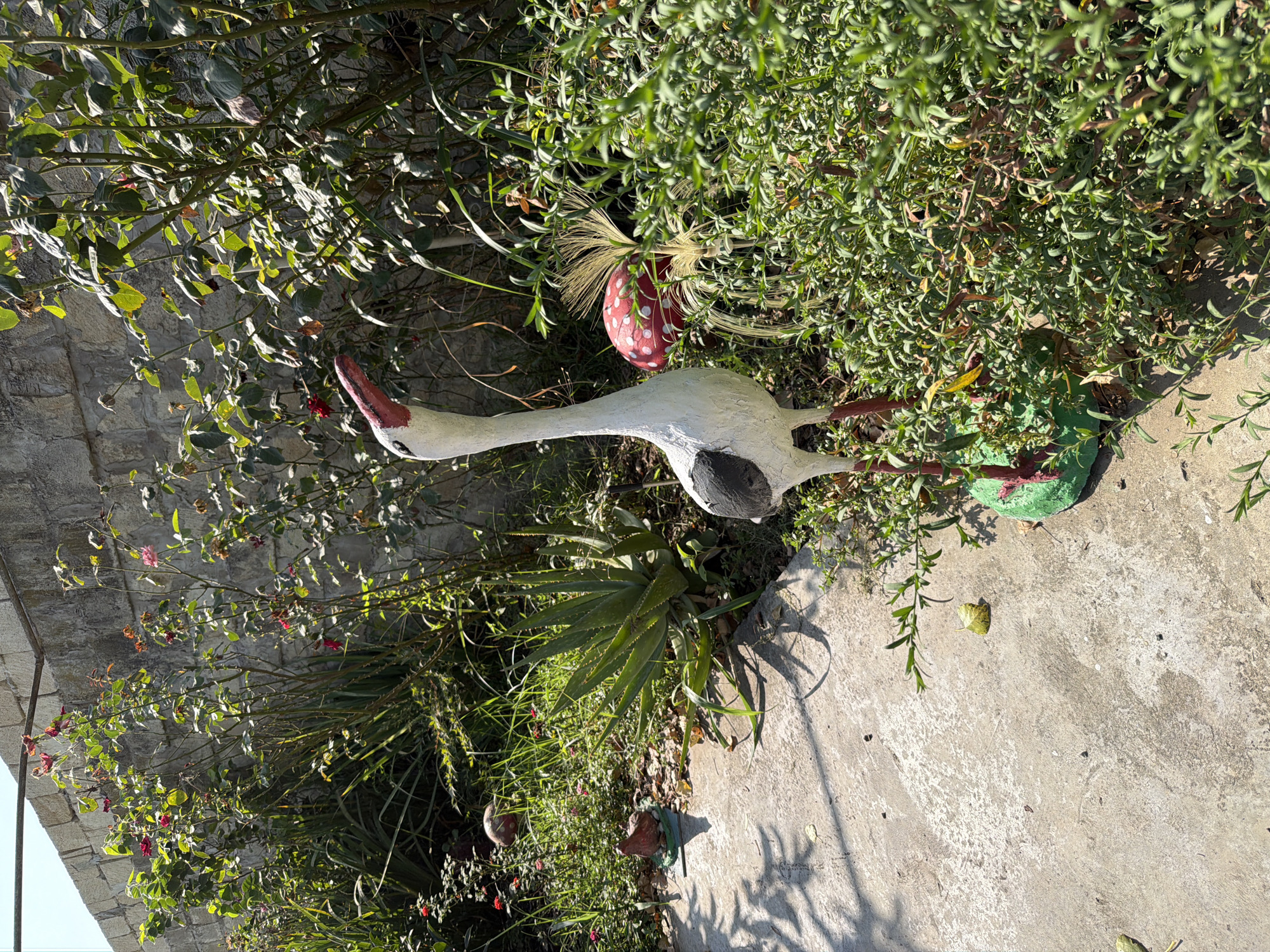 This image depicts a garden scene in Balakən, Azerbaijan. In the foreground, a white stork-like garden ornament stands on a green base. The ornament has a long neck, a red and pink beak, and black markings on its wings. To the right of the stork, a red mushroom-shaped ornament with white polka dots is visible, partially obscured by greenery. Behind the ornaments, there is a stone wall, and various plants, including rose bushes with red flowers and an aloe vera plant, are growing. The ground is a concrete pathway with scattered leaves and shadows. The environment appears to be an outdoor garden bathed in sunlight, suggesting it is daytime. No people or animals are present in the image.