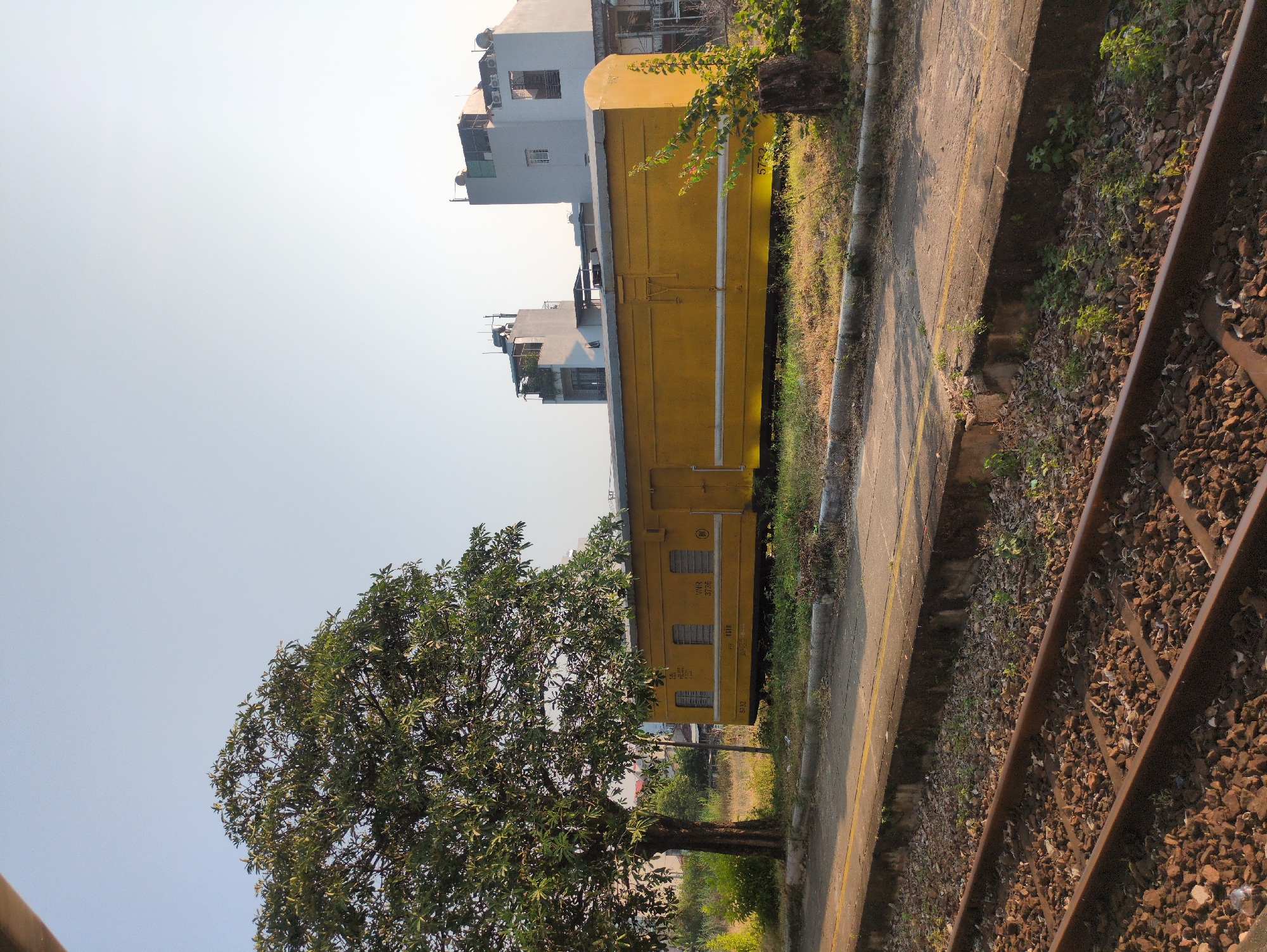 A slightly canted, long shot captures a scene in Tuy Hòa, Vietnam, featuring a bright yellow train car positioned parallel to a train track, separated by a platform. A tall tree stands to the left, obscuring a portion of the train car and reaching towards a pale blue sky. Behind the train car, a residential building rises. The train tracks are flanked by gravel and vegetation.