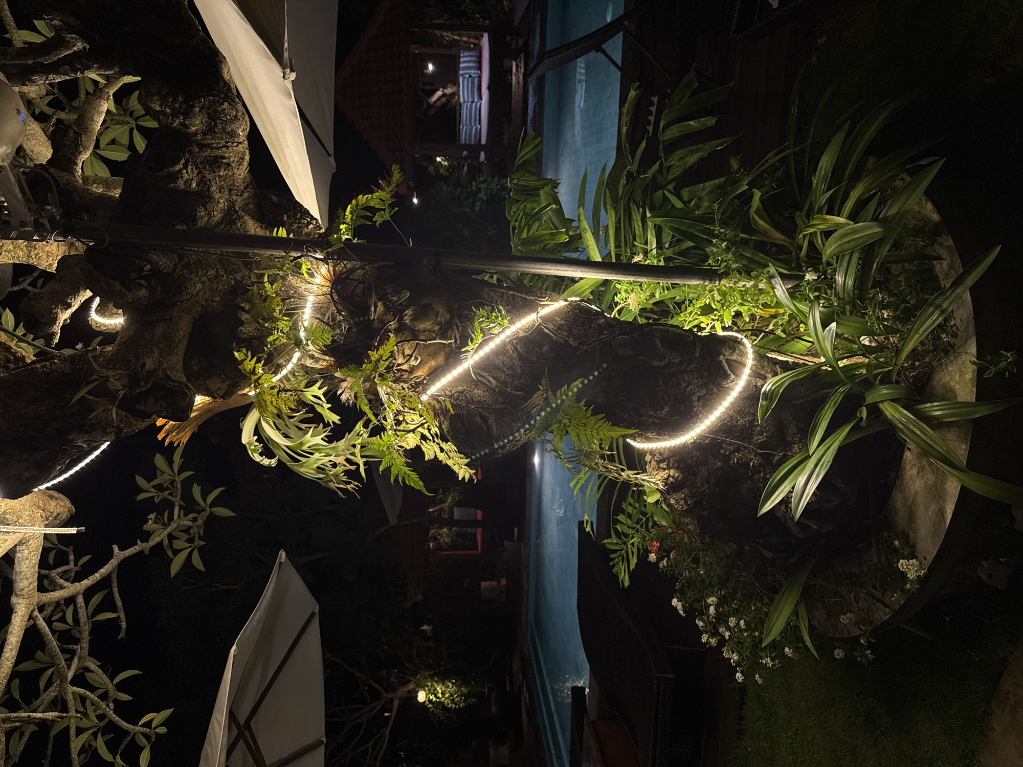 The image shows a dimly lit outdoor scene in Kuta Selatan, Indonesia, featuring a large, weathered tree trunk or rock formation embedded in a concrete planter. The planter is filled with various plants, including ferns and broad-leafed greenery. A string of bright, warm-toned LED lights is wrapped around the tree/rock, providing a focal point of illumination. Adjacent to the planter is what appears to be the edge of a swimming pool, with muted blue light reflecting off its surface. In the background, a glimpse of a building with a red-toned roof can be seen. The scene is largely in shadow, with only the LED lights and the pool surface providing significant illumination. Two white parasols appear as silhouetted forms in the foreground.
