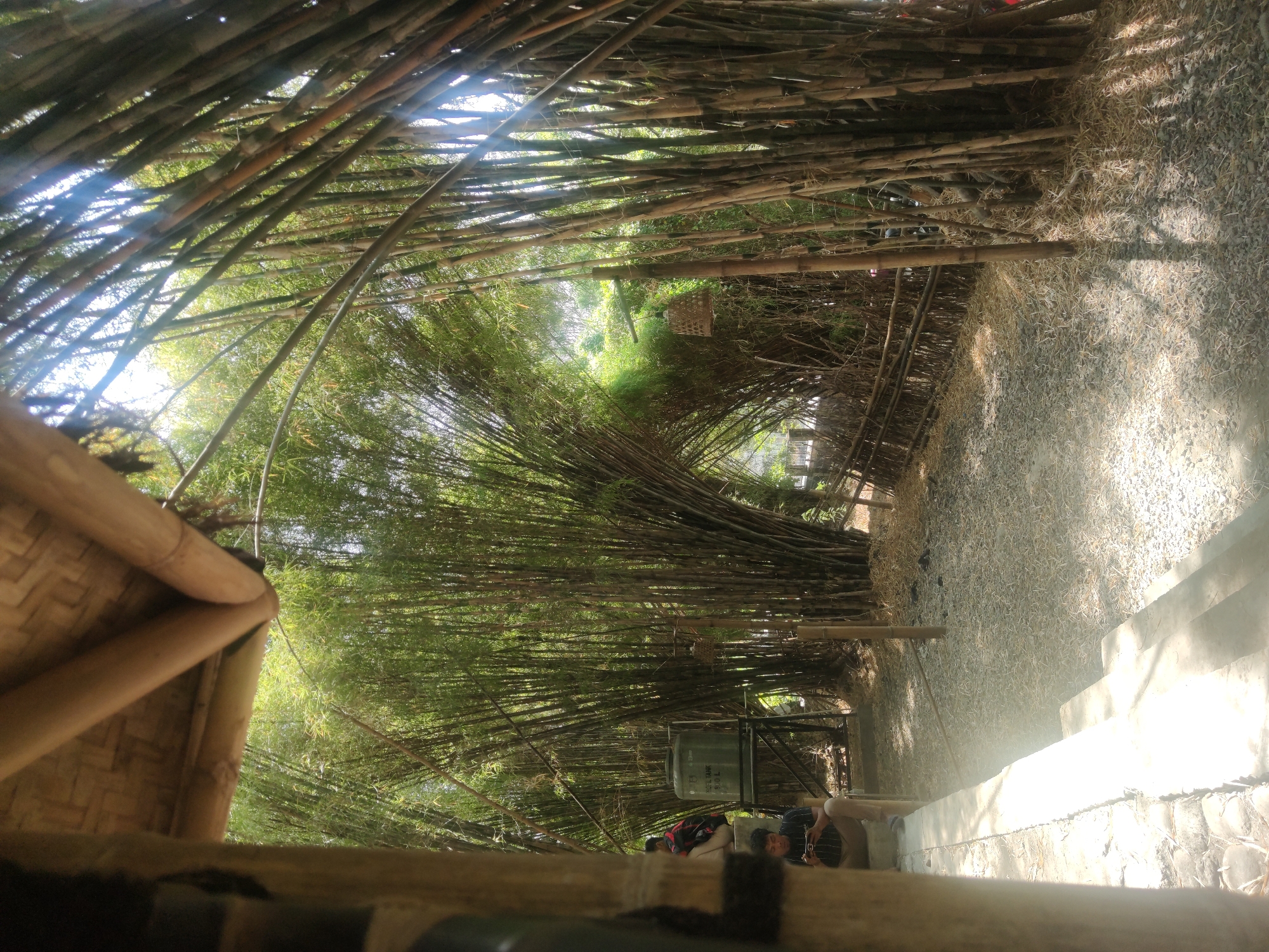 This image depicts a pathway lined with dense bamboo groves, under a partially constructed bamboo-roofed structure. In the foreground, a person is seated on concrete steps, looking at their phone. To their left, a water tank with the label "HDPE TANK 500 L" is visible, along with another person sitting behind it. The pathway is covered with gravel and dry leaves. In the background, a rustic bamboo fence can be seen. The scene suggests a natural, outdoor setting, possibly a recreational area or a rustic cafe, in Surabaya, Indonesia. The lighting indicates it is daytime, with sunlight filtering through the bamboo stalks, creating dappled shadows.