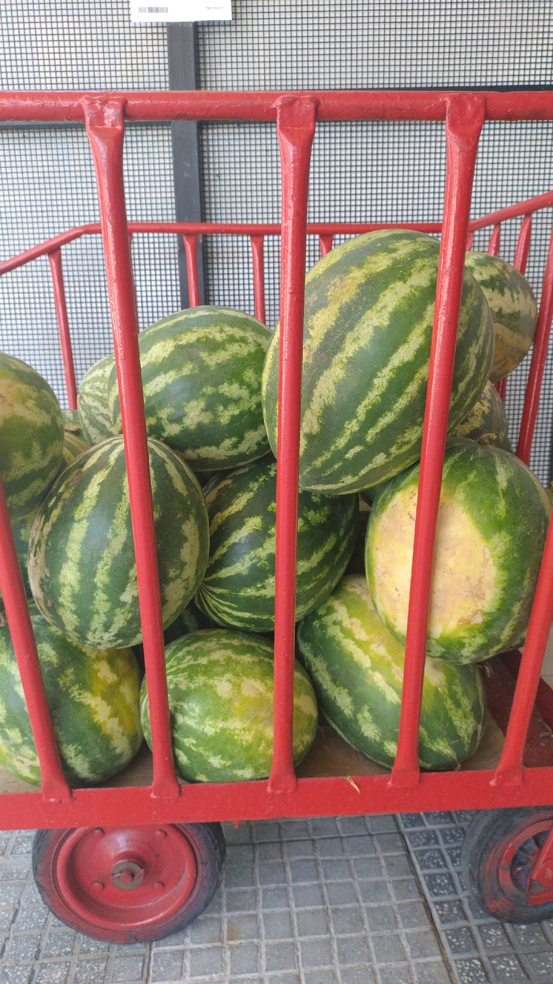 This is a close-up, eye-level, medium shot of a red metal cart filled with watermelons. The cart has red vertical bars and a red horizontal bar across the front. Two red wheels are visible at the bottom, one on the left and one on the right. The watermelons are predominantly green with darker green stripes, and some have lighter yellow or white patches. They are piled high within the cart, with several visible at different depths and angles. The cart is on a tiled surface, and a blurred background of a grid pattern is visible behind the cart. There is no visible indication of the city of Perea, Greece.