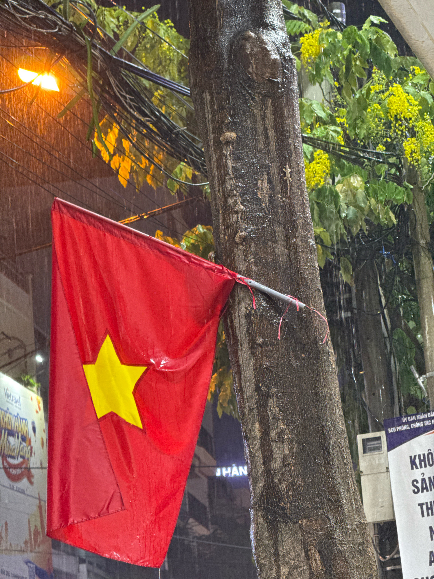 A Vietnamese flag is attached to a tree trunk on a street in Nha Trang, Vietnam, during a rain shower. The flag, predominantly red with a yellow star, appears wet. The tree trunk is dark and textured. In the background, there are overhead electrical wires, a street lamp with an orange glow, and green foliage with yellow flowers. A distant building and a utility box are also visible. The rain is evident as streaks and droplets in the air.