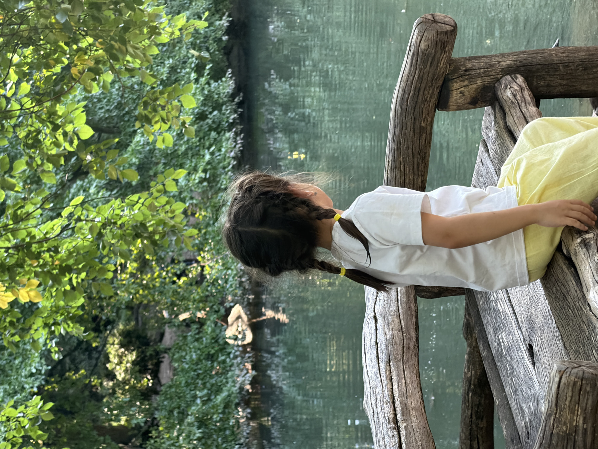 A young girl with dark hair braided into pigtails sits on a rustic wooden bench, facing away from the camera, looking out at a body of water. She wears a white t-shirt and yellow pants. The bench appears to be made from rough-hewn logs, with a thick, weathered log serving as the backrest and armrest. Behind the girl and the bench is a large expanse of calm, greenish water, reflecting the surrounding foliage. The far bank of the water is densely covered in lush green trees and foliage, with sunlight filtering through the leaves, creating dappled patterns of light and shadow. The overall scene is tranquil and natural, suggesting a park or a natural setting within a city. This image was taken in Central Park, New York City, United States of America.