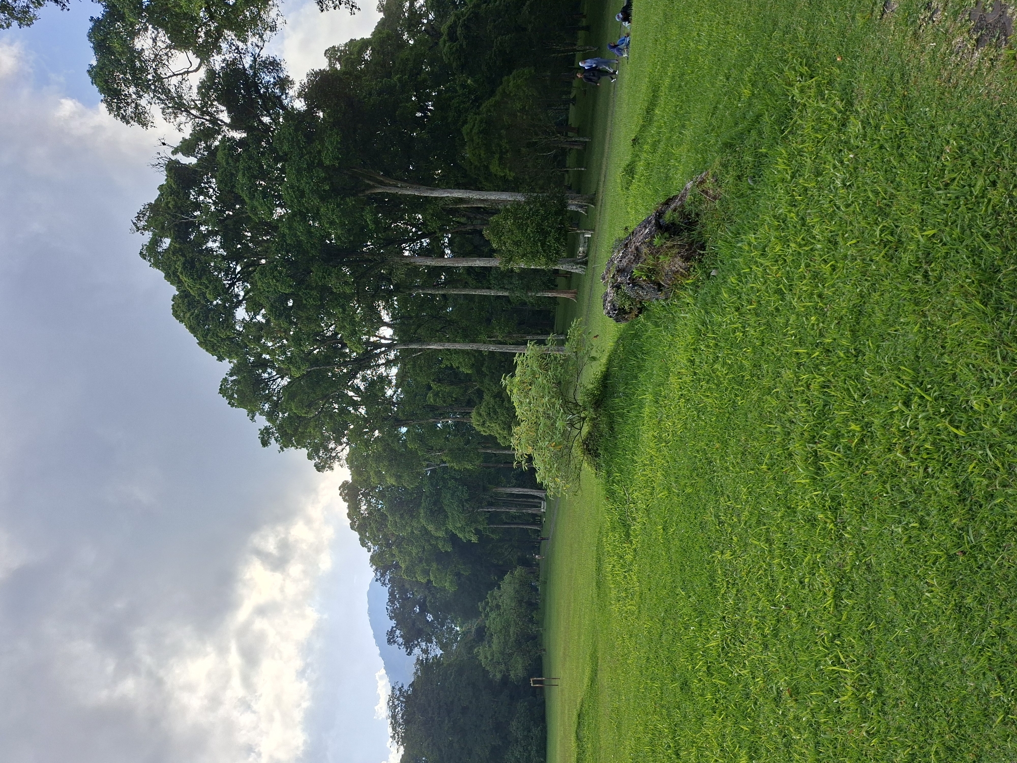The image shows a green, grassy field in Baturiti, Indonesia, under a cloudy sky. Tall, green trees line the edge of the field. A weathered log lies on the grass. A group of people are visible in the background.
