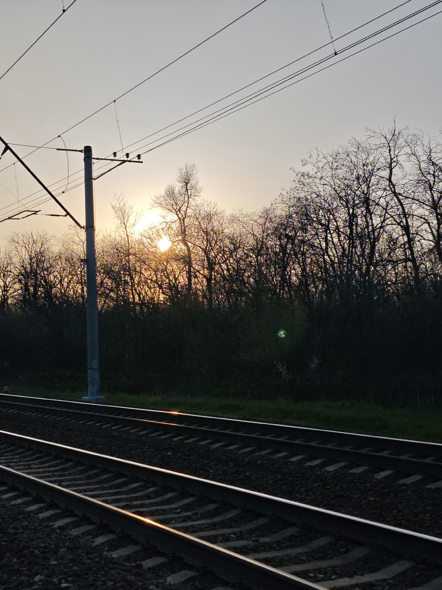 A photograph taken outdoors depicts a railway track environment under the light of a setting sun, though no city is discernable. The scene is dominated by a set of parallel train tracks stretching into the distance, with gravel ballast between and around the rails. The rails reflect the last rays of the sun, creating bright, linear highlights.
Alongside the tracks, a dense row of trees forms a backdrop, with the sun partially obscured by their branches, casting a warm glow. A utility pole stands next to the tracks, supporting overhead wires that run parallel to the rails, suggesting an electrified railway line. The sky is a muted, pale tone, indicative of dusk or dawn. The overall atmosphere is serene, with a focus on the converging lines of the railway and the natural landscape.