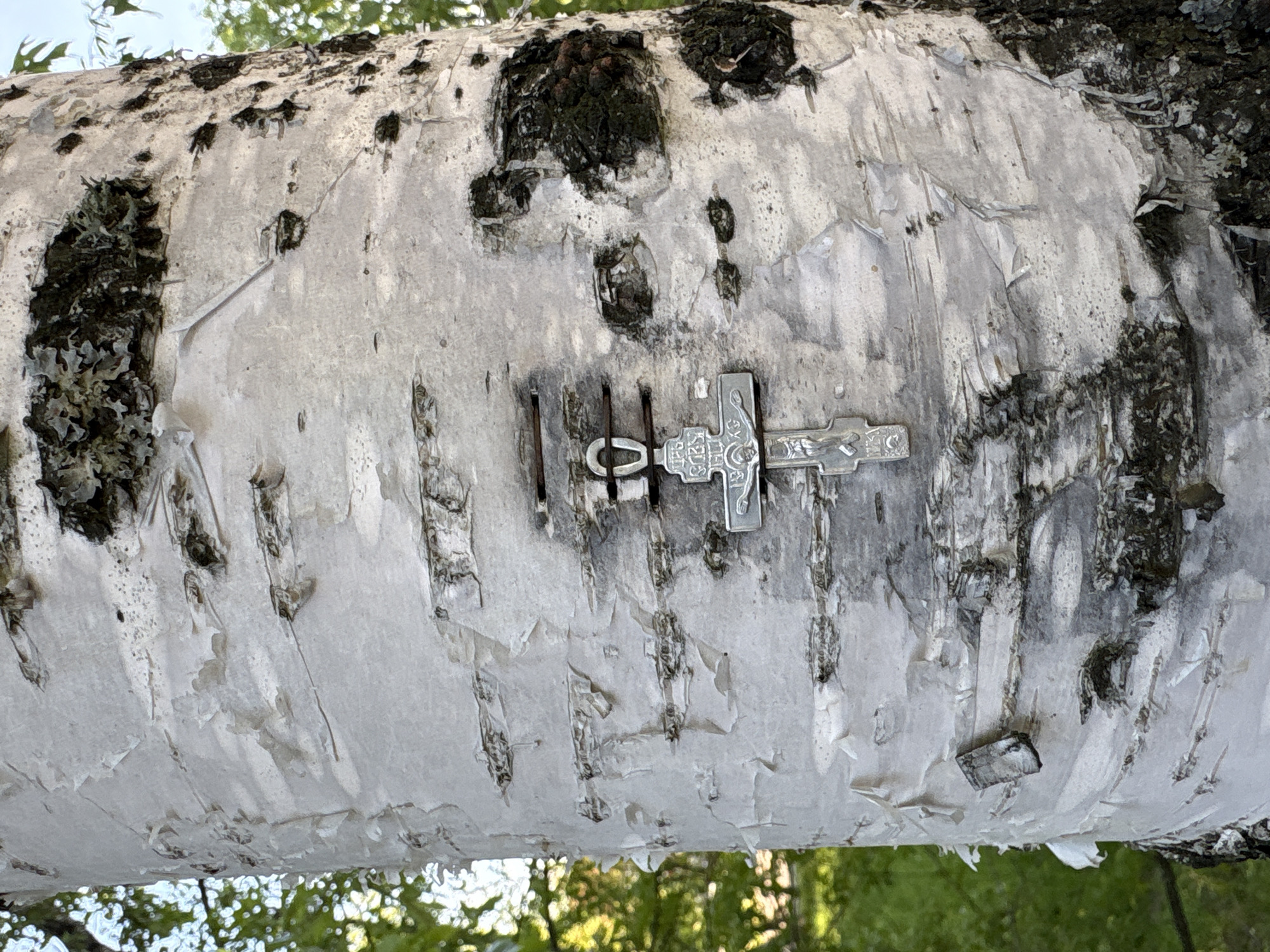 A close-up, eye-level shot shows a silver-colored metal cross affixed to the distinctive light, peeling bark of a birch tree trunk or large branch. The bark displays characteristic white layers and dark, rough patches with green-black lichen growth.
The cross is intricately detailed, featuring an Orthodox Christian design. On its horizontal arms, the Cyrillic letters "ІС ХС" (Jesus Christ) are visible on the left side, and "НИКА" (victory) on the right. A central depiction of Christ on the cross is present, with a small skull and bones symbol (representing the skull of Adam) below His feet. The vertical beam of the cross also bears text, likely "СПАСИ И СОХРАНИ" (Save and Protect), a common Orthodox prayer. The cross appears to be firmly embedded or attached to the tree.
The background is softly blurred, revealing green foliage and hints of a bright sky, indicating an outdoor setting in natural daylight, possibly in a forest or park. The scene is static, with no direct activity taking place. The presence of the cross suggests a deliberate placement for religious or memorial purposes in Mezhdurechensk, Russia.