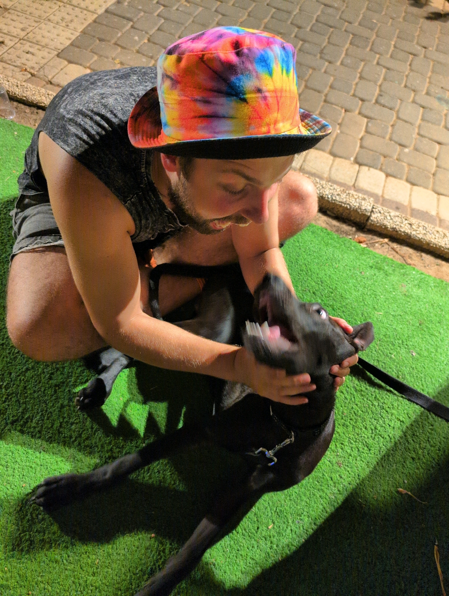 A person wearing a tie-dye bucket hat and a dark t-shirt is squatting on a green, artificial turf surface. The person is interacting with a black dog, holding its head and appearing to play with it. The dog's mouth is open, and its tongue is visible. The background shows a paved area made of interlocking bricks. The scene is outdoors, and shadows suggest it is daytime. The image was taken in Bat Yam, Israel.