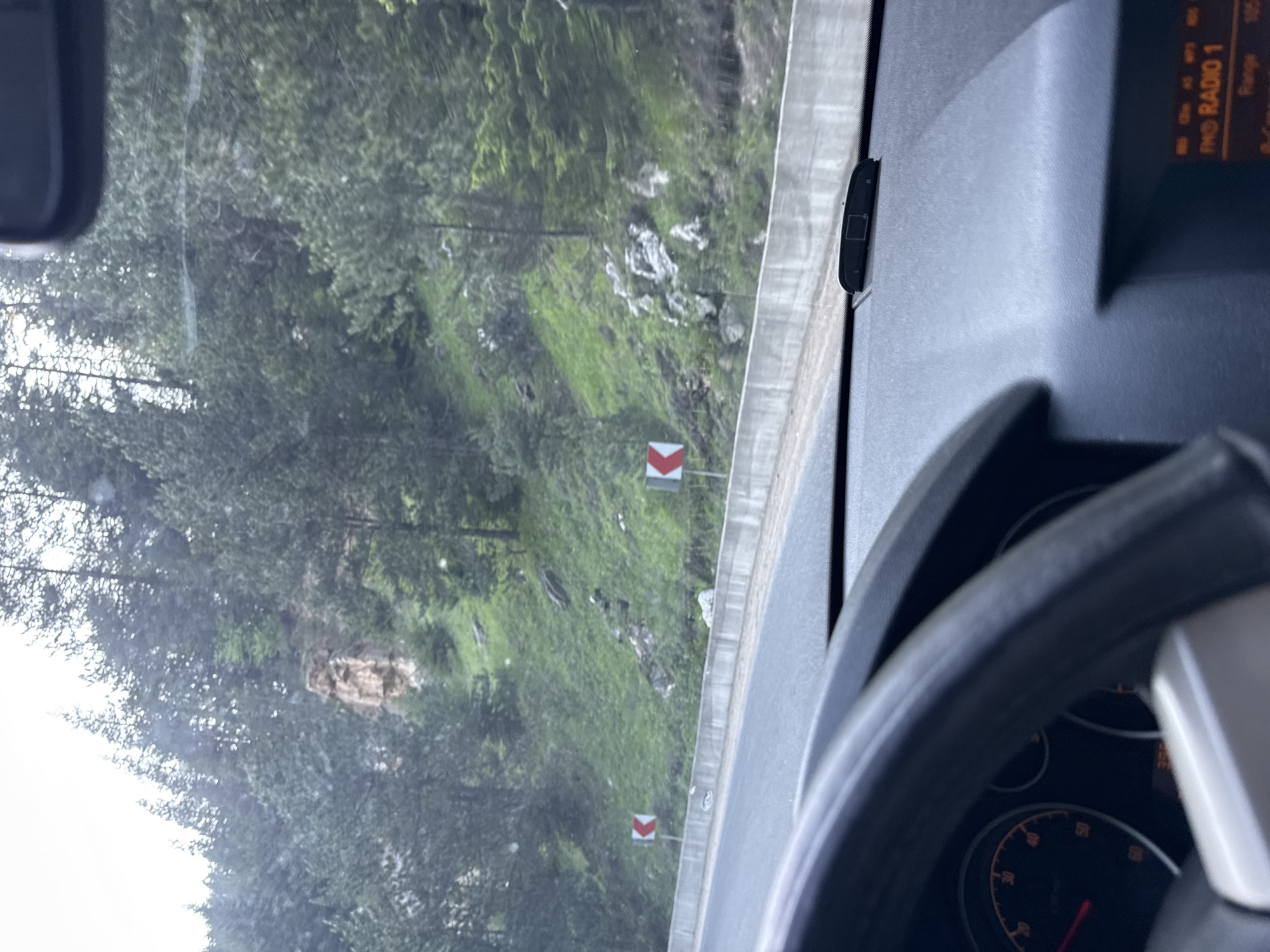 This image, identified as depicting a location in Sokolovtsi, Bulgaria, captures a view from inside a vehicle, looking forward through the windshield at a winding mountain road and forested slopes.

In the immediate foreground, the dark gray dashboard of the vehicle is visible, with a portion of the black steering wheel obscuring the lower-left corner of the frame. To the left of the steering wheel, part of the instrument cluster is visible, showing a speedometer with an orange needle indicating a speed just above 20 (units not specified, likely km/h or mph). On the dashboard, near the base of the windshield, a small black electronic device with "L" and "R" markings and a central square display is present. Below the main dashboard, a digital display is partially visible, showing "FM RADIO 1" and "Range 105."

The midground features an asphalt road, appearing to curve to the right, bordered on the left by a low, light gray concrete barrier. Two red-and-white chevron road signs are positioned along this barrier, indicating a sharp curve ahead; one is on the far left, partially obscured, with an arrow pointing left, and another is to the right, with an arrow pointing right. Behind the barrier, the terrain slopes upwards, covered in vibrant green grass with scattered rocks and small patches of darker soil.

The background reveals a dense forest predominantly composed of dark green coniferous trees, likely pines, covering the steep hillsides. A distinct, light brown or tan rock formation is visible amidst the trees on the left hillside. The sky, visible through the gaps in the tree canopy, is overcast and light gray, indicating a cloudy day. No people or specific human actions are discernible within the visible outdoor scene. The overall environment is natural, mountainous, and rural.