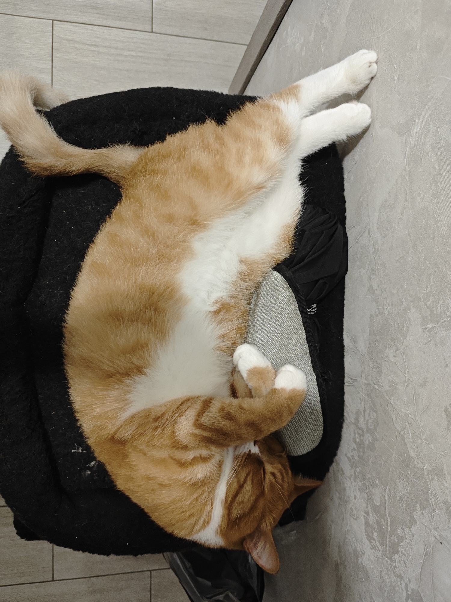 An orange and white tabby cat is sprawled out on its back, sleeping on a black fuzzy cushion. The cat's paws are curled up and its tail is extended. The cushion is on a light gray textured surface. The background is a tiled wall. The scene is indoors and appears to be a domestic setting. The location is not specified in the image.